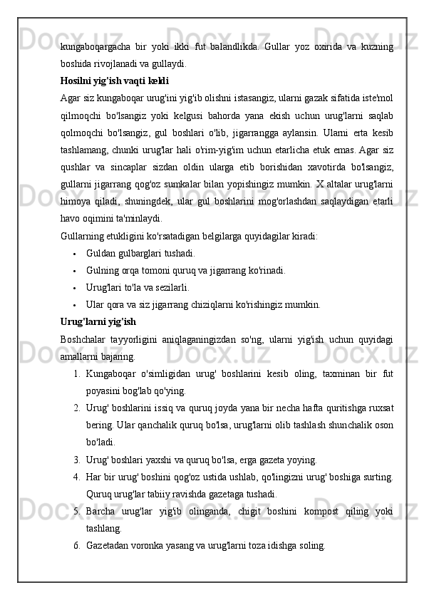 kungaboqargacha   bir   yoki   ikki   fut   balandlikda.   Gullar   yoz   oxirida   va   kuzning
boshida rivojlanadi va gullaydi.
Hosilni yig'ish vaqti keldi
Agar siz kungaboqar urug'ini yig'ib olishni istasangiz, ularni gazak sifatida iste'mol
qilmoqchi   bo'lsangiz   yoki   kelgusi   bahorda   yana   ekish   uchun   urug'larni   saqlab
qolmoqchi   bo'lsangiz,   gul   boshlari   o'lib,   jigarrangga   aylansin.   Ularni   erta   kesib
tashlamang, chunki urug'lar  hali  o'rim-yig'im  uchun etarlicha etuk emas. Agar  siz
qushlar   va   sincaplar   sizdan   oldin   ularga   etib   borishidan   xavotirda   bo'lsangiz,
gullarni jigarrang qog'oz sumkalar bilan yopishingiz mumkin. X altalar urug'larni
himoya   qiladi,   shuningdek,   ular   gul   boshlarini   mog'orlashdan   saqlaydigan   etarli
havo oqimini ta'minlaydi.
Gullarning etukligini ko'rsatadigan belgilarga quyidagilar kiradi:
 Guldan gulbarglari tushadi.
 Gulning orqa tomoni quruq va jigarrang ko'rinadi.
 Urug'lari to'la va sezilarli.
 Ular qora va siz jigarrang chiziqlarni ko'rishingiz mumkin.
Urug'larni yig'ish
Boshchalar   tayyorligini   aniqlaganingizdan   so'ng,   ularni   yig'ish   uchun   quyidagi
amallarni bajaring.
1. Kungaboqar   o'simligidan   urug'   boshlarini   kesib   oling,   taxminan   bir   fut
poyasini bog'lab qo'ying.
2. Urug' boshlarini issiq va quruq joyda yana bir necha hafta quritishga ruxsat
bering. Ular qanchalik quruq bo'lsa, urug'larni olib tashlash shunchalik oson
bo'ladi.
3. Urug' boshlari yaxshi va quruq bo'lsa, erga gazeta yoying.
4. Har bir urug' boshini qog'oz ustida ushlab, qo'lingizni urug' boshiga surting.
Quruq urug'lar tabiiy ravishda gazetaga tushadi.
5. Barcha   urug'lar   yig'ib   olinganda,   chigit   boshini   kompost   qiling   yoki
tashlang.
6. Gazetadan voronka yasang va urug'larni toza idishga soling.