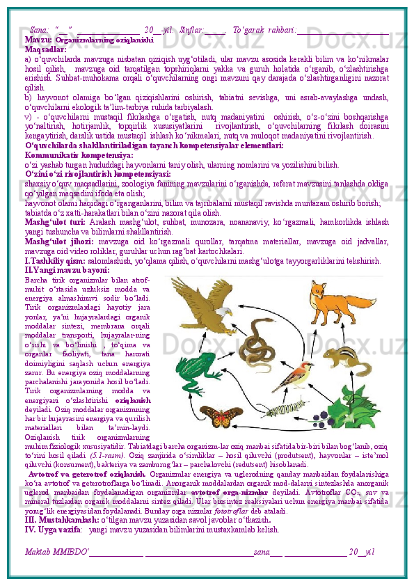   Sana:   “__”   _______________   20__-yil.   Sinflar:_____.   To‘garak   rahbari:______________________
Mavzu:   Organizmlarning oziqlanishi
Maqsadlar: 
a)   o‘quvchilarda   mavzuga   nisbatan   qiziqish   uyg‘otiladi,   ular   mavzu   asosida   kerakli   bilim   va   ko‘nikmalar
hosil   qilish,     mavzuga   oid   tarqatilgan   topshiriqlarni   yakka   va   guruh   holatida   o‘rganib,   o‘zlashtirishga
erishish.   S uhbat-muhokama   orqali   o‘ quvchilarning   o ngi   mavzuni   qay   darajada   o‘zlashtirganligini   nazorat
qilish.
b)   hаyvоnоt   оlаmigа   bo ‘ lgаn   qiziqishlаrini   оshiri sh ,   tabiatni   sevishga,   uni   asrab-avaylashga   undash,
o‘quvchilarni ekologik ta’lim-tarbiya ruhida tarbiyalash.
v)   -   o‘quvchilarni   mustaqil   fikrlashga   o‘rgatish,   nutq   madaniyatini     oshirish,   o‘z-o‘zini   boshqarishga
yo‘naltirish,   hotirjamlik,   topqirlik   xususiyatlarini     rivojlantirish,   o ‘ quvchilarning   fikrlash   doirasini
kengaytirish,  darslik ustida mustaqil  ishlash  ko‘nikmalari, nutq va muloqot madaniyatini rivojlantirish .
O‘quvchilarda shakllantiriladigan tayanch kompetensiyalar elementlari: 
Kommunikativ kompetensiya: 
o‘zi yashab turgan hududdagi hayvonlarni taniy olish, ularning nomlarini va yozilishini bilish. 
O‘zini o‘zi rivojlantirish kompetensiyasi: 
shaxsiy o‘quv maqsadlarini, zoologiya fanining mavzularini o‘rganishda, referat mavzusini tanlashda oldiga
qo‘yilgan maqsadini ifoda eta olish; 
hayvonot olami haqidagi o‘rganganlarini, bilim va tajribalarni mustaqil ravishda muntazam oshirib borish; 
tabiatda o‘z xatti-harakatlari bilan o‘zini nazorat qila olish. 
Mashg‘ulot   turi:   Aralash   mashg‘ulot,   suhbat,   munozara,   noananaviy,   ko ʻ rgazmali,   hamkorlikda   ishlash
yangi tushuncha va bilimlarni shakllantirish.
Mashg‘ulot   jihozi:   mavzuga   oid   ko‘rgazmali   qurollar,   tarqatma   materiallar,   mavzuga   oid   jadvallar,
mavzuga oid video roliklar, guruhlar uchun rag ʻ bat kartochkalari.
I.Tashkiliy qism:   salomlashish, yo‘qlama   qilish, o quvchilarni mashgʻ ‘ ulotga tayyorgarliklarini tekshirish.
II.Yangi mavzu bayoni:
Barcha   tirik   organizmlar   bilan   atrof-
muhit   o‘rtasida   uzluksiz   modda   va
energiya   almashinuvi   sodir   bo‘ladi.
Tirik   organizmlardagi   hayotiy   jara
yonlar,   ya’ni   hujayralardagi   organik
moddalar   sintezi,   membrana   orqali
moddalar   transporti,   hujayralar-ning
o‘sishi   va   bo‘linishi   ,   to‘qima   va
organlar   faoliyati,   tana   harorati
doimiyligini   saqlash   uchun   energiya
zarur.   Bu   energiya   oziq   moddalarning
parchalanishi   jarayonida   hosil   bo‘ladi.
Tirik   organizmlarning   modda   va
energiyani   o‘zlashtirishi   oziqlanish
deyiladi. Oziq moddalar organizmning
har bir hujayrasini energiya va qurilish
materiallari   bilan   ta’min-laydi.
Oziqlanish   tirik   organizmlarning
muhim fiziologik xususiyatidir. Tabiatdagi barcha organizm-lar oziq manbai sifatida bir-biri bilan bog‘lanib, oziq
to‘rini   hosil   qiladi   (5.1-rasm).   Oziq   zanjirida   o‘simliklar   –   hosil   qiluvchi   (produtsent),   hayvonlar   –   iste’mol
qiluvchi (konsument), bakteriya va zamburug‘lar – parchalovchi (redutsent) hisoblanadi.
  Avtotrof   va   geterotrof   oziqlanish.   Organizmlar   energiya   va   uglerodning   qanday   manbaidan   foydalanishiga
ko‘ra avtotrof va geterotroflarga bo‘linadi.   Anorganik moddalardan organik mod-dalarni sintezlashda anorganik
uglerod   manbaidan   foydalanadigan   organizmlar   avtotrof   orga-nizmlar   deyiladi.   Avtotroflar   CO 2 ,   suv   va
mineral   tuzlardan   organik   moddalarni   sintez   qiladi.   Ular   biosintez   reaksiyalari   uchun   energiya   manbai   sifatida
yorug‘lik energiyasidan foydalanadi. Bunday orga nizmlar  fototroflar  deb ataladi.
III. Mustahkamlash:  o‘tilgan mavzu yuzasidan savol javoblar o‘tkazish .
IV. Uyga vazifa :    yangi mavzu yuzasidan bilimlarini mustaxkamlab kelish.
Maktab MMIBDO‘_____________ __________________________sana___ _______________ 20__yil 