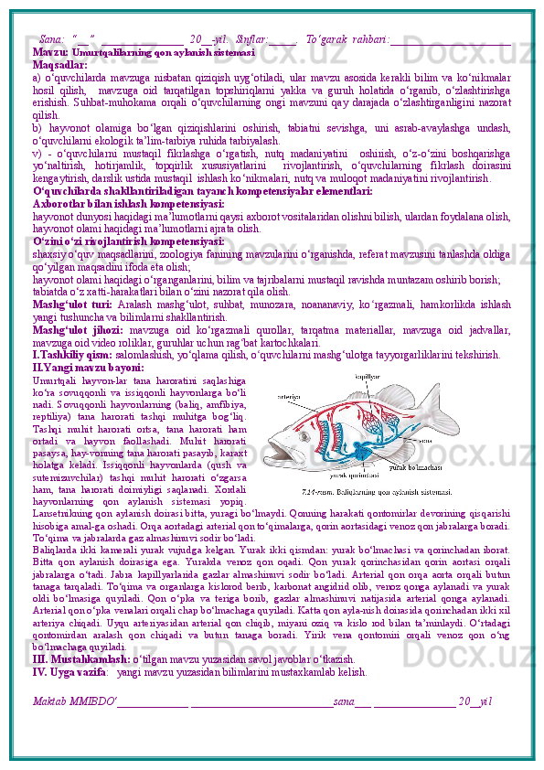   Sana:   “__”   _______________   20__-yil.   Sinflar:_____.   To‘garak   rahbari:______________________
Mavzu:   Umurtqalilarning qon aylanish sistemasi
Maqsadlar: 
a)   o‘quvchilarda   mavzuga   nisbatan   qiziqish   uyg‘otiladi,   ular   mavzu   asosida   kerakli   bilim   va   ko‘nikmalar
hosil   qilish,     mavzuga   oid   tarqatilgan   topshiriqlarni   yakka   va   guruh   holatida   o‘rganib,   o‘zlashtirishga
erishish.   S uhbat-muhokama   orqali   o‘ quvchilarning   o ngi   mavzuni   qay   darajada   o‘zlashtirganligini   nazorat
qilish.
b)   hаyvоnоt   оlаmigа   bo ‘ lgаn   qiziqishlаrini   оshiri sh ,   tabiatni   sevishga,   uni   asrab-avaylashga   undash,
o‘quvchilarni ekologik ta’lim-tarbiya ruhida tarbiyalash.
v)   -   o‘quvchilarni   mustaqil   fikrlashga   o‘rgatish,   nutq   madaniyatini     oshirish,   o‘z-o‘zini   boshqarishga
yo‘naltirish,   hotirjamlik,   topqirlik   xususiyatlarini     rivojlantirish,   o ‘ quvchilarning   fikrlash   doirasini
kengaytirish,  darslik ustida mustaqil  ishlash  ko‘nikmalari, nutq va muloqot madaniyatini rivojlantirish .
O‘quvchilarda shakllantiriladigan tayanch kompetensiyalar elementlari: 
Axborotlar bilan ishlash kompetensiyasi: 
hayvonot dunyosi haqidagi ma’lumotlarni qaysi axborot vositalaridan olishni bilish, ulardan foydalana olish,
hayvonot olami haqidagi ma’lumotlarni ajrata olish. 
O‘zini o‘zi rivojlantirish kompetensiyasi: 
shaxsiy o‘quv maqsadlarini, zoologiya fanining mavzularini o‘rganishda, referat mavzusini tanlashda oldiga
qo‘yilgan maqsadini ifoda eta olish; 
hayvonot olami haqidagi o‘rganganlarini, bilim va tajribalarni mustaqil ravishda muntazam oshirib borish; 
tabiatda o‘z xatti-harakatlari bilan o‘zini nazorat qila olish. 
Mashg‘ulot   turi:   Aralash   mashg‘ulot,   suhbat,   munozara,   noananaviy,   ko ʻ rgazmali,   hamkorlikda   ishlash
yangi tushuncha va bilimlarni shakllantirish.
Mashg‘ulot   jihozi:   mavzuga   oid   ko‘rgazmali   qurollar,   tarqatma   materiallar,   mavzuga   oid   jadvallar,
mavzuga oid video roliklar, guruhlar uchun rag ʻ bat kartochkalari.
I.Tashkiliy qism:   salomlashish, yo‘qlama   qilish, o quvchilarni mashgʻ ‘ ulotga tayyorgarliklarini tekshirish.
II.Yangi mavzu bayoni:
Umurtqali   hayvon-lar   tana   haroratini   saqlashiga
ko‘ra   sovuqqonli   va   issiqqonli   hayvonlarga   bo‘li
nadi.   Sovuqqonli   hayvonlarning   (baliq,   amfibiya,
reptiliya)   tana   harorati   tashqi   muhitga   bog‘liq.
Tashqi   muhit   harorati   ortsa,   tana   harorati   ham
ortadi   va   hayvon   faollashadi.   Muhit   harorati
pasaysa, hay-vonning tana harorati pasayib, karaxt
holatga   keladi.   Issiqqonli   hayvonlarda   (qush   va
sutemizuvchilar)   tashqi   muhit   harorati   o‘zgarsa
ham,   tana   harorati   doimiyligi   saqlanadi.   Xordali
hayvonlarning   qon   aylanish   sistemasi   yopiq.
Lansetnikning qon aylanish doirasi bitta, yuragi bo‘lmaydi. Qonning harakati qontomirlar devorining qisqarishi
hisobiga amal-ga oshadi. Orqa aortadagi arterial qon to‘qimalarga, qorin aortasidagi venoz qon jabralarga boradi.
To‘qima va jabralarda gaz almashinuvi sodir bo‘ladi.
Baliqlarda  ikki  kamerali  yurak  vujudga  kelgan.  Yurak ikki  qismdan: yurak  bo‘lmachasi  va  qorinchadan iborat.
Bitta   qon   aylanish   doirasiga   ega.   Yurakda   venoz   qon   oqadi.   Qon   yurak   qorinchasidan   qorin   aortasi   orqali
jabralarga   o‘tadi.   Jabra   kapillyarlarida   gazlar   almashinuvi   sodir   bo‘ladi.   Arterial   qon   orqa   aorta   orqali   butun
tanaga tarqaladi.  To‘qima  va  organlarga  kislorod berib, karbonat angidrid olib, venoz qonga aylanadi va yurak
oldi   bo‘lmasiga   quyiladi.   Qon   o‘pka   va   teriga   borib,   gazlar   almashinuvi   natijasida   arterial   qonga   aylanadi.
Arterial qon o‘pka venalari orqali chap bo‘lmachaga quyiladi. Katta qon ayla-nish doirasida qorinchadan ikki xil
arteriya   chiqadi.   Uyqu   arteriyasidan   arterial   qon   chiqib,   miyani   oziq   va   kislo   rod   bilan   ta’minlaydi.   O‘rtadagi
qontomirdan   aralash   qon   chiqadi   va   butun   tanaga   boradi.   Yirik   vena   qontomiri   orqali   venoz   qon   o‘ng
bo‘lmachaga quyiladi.
III. Mustahkamlash:  o‘tilgan mavzu yuzasidan savol javoblar o‘tkazish.
IV. Uyga vazifa :    yangi mavzu yuzasidan bilimlarini mustaxkamlab kelish.
Maktab MMIBDO‘_____________ __________________________sana___ _______________ 20__yil 