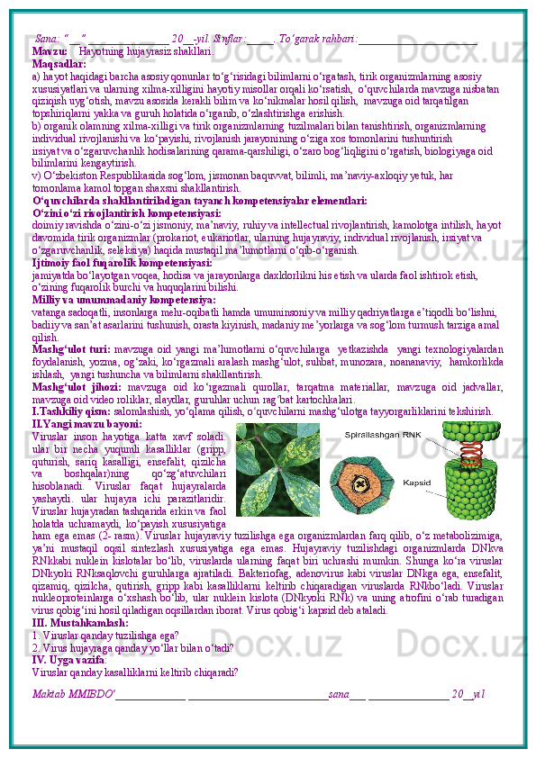  Sana: “__” _______________ 20__-yil. Sinflar:_____. To‘garak rahbari:______________________  
Mavzu:      Hayotning hujayrasiz shakllari.
Maqsadlar: 
a) hayot haqidagi barcha asosiy qonunlar to‘g‘risidagi bilimlarni o‘rgatash, tirik organizmlarning asosiy 
xususiyatlari va ularning xilma-xilligini hayotiy misollar orqali ko‘rsatish,  o‘quvchilarda mavzuga nisbatan 
qiziqish uyg‘otish, mavzu asosida kerakli bilim va ko‘nikmalar hosil qilish,  mavzuga oid tarqatilgan 
topshiriqlarni yakka va guruh holatida o‘rganib, o‘zlashtirishga erishish. 
b) organik olamning xilma-xilligi va tirik organizmlarning tuzilmalari bilan tanishtirish, organizmlarning 
individual rivojlanishi va ko‘payishi, rivojlanish jarayonining o‘ziga xos tomonlarini tushuntirish
irsiyat va o‘zgaruvchanlik hodisalarining qarama-qarshiligi, o‘zaro bog‘liqligini o‘rgatish, biologiyaga oid 
bilimlarini kengaytirish.
v) O‘zbekiston Respublikasida sog‘lom, jismonan baquvvat, bilimli, ma’naviy-axloqiy yetuk, har 
tomonlama kamol topgan shaxsni shakllantirish.
O‘quvchilarda shakllantiriladigan tayanch kompetensiyalar elementlari:
O‘zini o‘zi rivojlantirish kompetensiyasi:
doimiy ravishda o‘zini-o‘zi jismoniy, ma’naviy, ruhiy va intellectual rivojlantirish, kamolotga intilish, hayot 
davomida tirik organizmlar (prokariot, eukariotlar, ularning hujayraviy, individual rivojlanish, irsiyat va 
o‘zgaruvchanlik, seleksiya) haqida mustaqil ma’lumotlarni o‘qib-o‘rganish.
Ijtimoiy faol fuqarolik kompetensiyasi:
jamiyatda bo‘layotgan voqea, hodisa va jarayonlarga daxldorlikni his etish va ularda faol ishtirok etish, 
o‘zining fuqarolik burchi va huquqlarini bilishi.
Milliy va umummadaniy kompetensiya:
vatanga sadoqatli, insonlarga mehr-oqibatli hamda umuminsoniy va milliy qadriyatlarga e’tiqodli bo‘lishni, 
badiiy va san’at asarlarini tushunish, orasta kiyinish, madaniy me’yorlarga va sog‘lom turmush tarziga amal 
qilish.
Mashg‘ulot   turi:   mavzuga   oid   yangi   ma’lumotlarni   o‘quvchilarga     yetkazishda     yangi   texnologiyalardan
foydalanish,   yozma, og‘zaki, ko‘rgazmali   aralash mashg‘ulot, suhbat, munozara,   noananaviy,   hamkorlikda
ishlash,  yangi tushuncha va bilimlarni shakllantirish.
Mashg‘ulot   jihozi:   mavzuga   oid   ko ‘ rgazmali   qurollar,   tarqatma   materiallar,   mavzuga   oid   jadvallar,
mavzuga oid video roliklar, slaydlar, guruhlar uchun rag ʻ bat kartochkalari.
I.Tashkiliy qism:   salomlashish, yo‘qlama qilish, o quvchilarni mashg‘ulotga tayyorgarliklarini tekshirish.ʻ
II.Yangi mavzu bayoni:
Viruslar   inson   hayotiga   katta   xavf   soladi.
ular   bir   necha   yuqumli   kasalliklar   (gripp,
quturish,   sariq   kasalligi,   ensefalit,   qizilcha
va   boshqalar)ning   qo‘zg‘atuvchilari
hisoblanadi.   Viruslar   faqat   hujayralarda
yashaydi.   ular   hujayra   ichi   parazitlaridir.
Viruslar hujayradan tashqarida erkin va faol
holatda   uchramaydi,   ko‘payish   xususiyatiga
ham ega emas (2- rasm). Viruslar hujayraviy tuzilishga ega organizmlardan farq qilib, o‘z metabolizimiga,
ya’ni   mustaqil   oqsil   sintezlash   xususiyatiga   ega   emas.   Hujayraviy   tuzilishdagi   organizmlarda   DNkva
RNkkabi   nuklein   kislotalar   bo‘lib,   viruslarda   ularning   faqat   biri   uchrashi   mumkin.   Shunga   ko‘ra   viruslar
DNkyoki   RNksaqlovchi   guruhlarga   ajratiladi.   Bakteriofag,   adenovirus   kabi   viruslar   DNkga   ega,   ensefalit,
qizamiq,   qizilcha,   qutirish,   gripp   kabi   kasalliklarni   keltirib   chiqaradigan   viruslarda   RNkbo‘ladi.   Viruslar
nukleoproteinlarga  o‘xshash  bo‘lib,  ular   nuklein   kislota   (DNkyoki  RNk)  va  uning   atrofini   o‘rab  turadigan
virus qobig‘ini hosil qiladigan oqsillardan iborat.  Virus qobig‘i kapsid deb ataladi.
III. Mustahkamlash: 
1. Viruslar qanday tuzilishga ega?
2. Virus hujayraga qanday yo‘llar bilan o‘tadi?
IV. Uyga vazifa :    
Viruslar qanday kasalliklarni keltirib chiqaradi?
Maktab MMIBDO‘_____________ __________________________sana___ _______________ 20__yil 