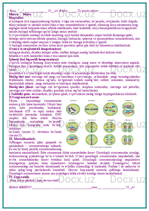  Sana: “__” _______________ 20__-yil. Sinflar:_____. To‘garak rahbari:______________________  
Mavzu:        Meyoz.
Maqsadlar: 
a) biologiya tirik organizmlarning tuzilishi, o‘ziga xos xususiyatlari, ko‘payishi, rivojlanishi, kelib chiqishi, 
tabiiy jamoalar va yashash muhiti bilan o‘zaro munosabatlarini o‘rgatish, olamning ilmiy manzarasini keng 
anglagan holda kelgusida shaxs sifatida shakllanishi, kasb tanlashda, ilmiy dunyoqarashlarini kengaytirish 
hamda ekologik tafakkurga ega bo‘lishga zamin yaratish. 
b) o‘quvchilarda mustaqil ravishda hayotning quyi tuzilish darajasidan yuqori tuzilish darajasiga qadar 
tabiatga yaxlit sistema sifatida qarashni, biologik tushuncha, nazariya va qonuniyatlarni umumlashtirish, ular
o‘rtasidagi sabab-oqibat zanjirini o‘rnatgan holda bir tizimga keltirishni o‘rgatish.
v) biologik muammolar yechimi uchun zarur qarorlarni qabul qila olish ko‘nikmalarini shakllantirish.
O‘zini o‘zi rivojlantirish kompetensiyasi:
biologiya darslari, darsdan tashqari ishlar, sinfdan tashqari mashg‘ulotlarda faol ishtirok etish;
tabiatda o‘z  x atti-harakatlari bilan o‘zini nazorat qila olish.
Ijtimoiy faol fuqarolik kompetensiyasi:  
o‘quvchi   biologiya   fanining   ilmiy-amaliy   soha   ekanligini,   uning   inson   va   tabiatdagi   ahamiyatini   anglash,
biologiya fani o‘rganadigan obyekt, hodisa, jarayonlarni, tirik organizmlar ustida kuzatish va tajribalar olib
borish. 
jamiyatda o‘z o‘rnini bilgan holda tabiatdagi voqea va jarayonlarga daxldorlikni his etish;
Mashg‘ulot   turi:   mavzuga   oid   yangi   ma’lumotlarni   o‘quvchilarga     yetkazishda     yangi   texnologiyalardan
foydalanish,   klaster,   yozma,   og‘zaki,   ko‘rgazmali   aralash   mashg‘ulot,   suhbat,   munozara,   noananaviy,
hamkorlikda ishlash,  yangi tushuncha va bilimlarni shakllantirish.
Mashg‘ulot   jihozi:   mavzuga   oid   ko‘rgazmali   qurollar,   tarqatma   materiallar,   mavzuga   oid   jadvallar,
mavzuga oid video roliklar, slaydlar, guruhlar uchun rag ʻ bat kartochkalari.
I.Tashkiliy qism:   salomlashish, yo‘qlama   qilish, o quvchilarni mashgʻ ‘ ulotga tayyorgarliklarini tekshirish.
II.Yangi mavzu bayoni:
Meyoz   –   hujayradagi   xromosomalar
soninin   g ikki hissa kamayishi.  Meyoz ham
mitoz   kabi   interfazadan   boshlanadi.
Interfazada   ATF   va   oqsil   sintezi   kabi
metabolitik   jarayonlar   tezlashadi.   DNK
miqdori   ikki   hissa   ortadi.   Hayvon
hujayralarida   sentriolalar   ko‘payadi.
Meyoz   ikki   bosqichda   sodir   bo‘ladi:
reduksion
bo‘linish   (meyoz   I);   ekvatsion   bo‘linish
(meyoz II) .
III. Mustahkamlash: 
Juftlangan   xromatin   iplari   qisqaradi   va
qalinlashadi   –   xromosomalarga   aylanadi,
bu esa bo‘linish paytida xromosomalarning
harakatini osonlashtiradi. Bitta xromosoma ikkita xromatidadan iborat. Gomologik xromosomalar uzunligi,
sentromeraning   joylashuviga   ko‘ra   o‘xshash   bo‘ladi.   O‘zaro   gomologik   xromosomalar   yaqinlashadi,   ular
to‘rtta   xromatidalardan   iborat   tetrada ni   hosil   qiladi.   Gomologik   xromosomalarning   yaqinlashuvi
konyugatsiya,   qismlari   bilan   almashinuvi   krossingover   hodisasi   deyiladi   Krossingover   tufayli
xromosomadagi   ma’lumotlar   almashinadi   va   avlodlar   xilmaxilligi   ta’minlanadi.   Profaza   I   da   yadrocha   va
yadro   qobig‘ining   parchalanishi   kuzatiladi.   Hayvon   hujayrasida   sentriola   qutblarga   harakatlanadi.
Gomologik xromosomalar yonma-yon joylashgan holda ekvator tekisligi tomon harakatlanadi.
IV. Uyga vazifa :    
 Nima uchun profaza I uzoq davom etadi?
Maktab MMIBDO‘_____________ __________________________sana___ _______________ 20__yil 