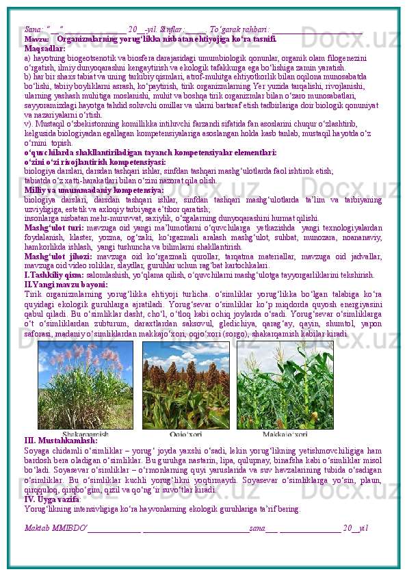 Sana: “__” _______________ 20__-yil. Sinflar:_____. To‘garak rahbari: ______________________ 
Mavzu:       Organizmlarning yorug‘likka nisbatan ehtiyojiga ko‘ra tasnifi.  
Maqsadlar: 
a)  hayotning biogeotsenotik va biosfera darajasidagi umumbiologik qonunlar, organik olam filogenezini 
o‘rgatish, ilmiy dunyoqarashni kengaytirish va ekologik tafakkurga ega bo‘lishiga zamin yaratish.
b)  har bir shaxs tabiat va uning tarkibiy qismlari, atrof-muhitga ehtiyotkorlik bilan oqilona munosabatda 
bo‘lishi, tabiiy boyliklarni asrash, ko‘paytirish, tirik organizmlarning Yer yuzida tarqalishi, rivojlanishi, 
ularning yashash muhitiga moslanishi, muhit va boshqa tirik organizmlar bilan o‘zaro munosabatlari, 
sayyoramizdagi hayotga tahdid soluvchi omillar va ularni bartaraf etish tadbirlariga doir biologik qonuniyat 
va nazariyalarni o‘rtish.
v).   Mustaqil o‘zbekistonning komillikka intiluvchi farzandi sifatida fan asoslarini chuqur o‘zlashtirib, 
kelgusida biologiyadan egallagan kompetensiyalariga asoslangan holda kasb tanlab, mustaqil hayotda o‘z 
o‘rnini  topish.
o‘quvchilarda shakllantiriladigan tayanch kompetensiyalar elementlari:
o‘zini o‘zi rivojlantirish kompetensiyasi:
biologiya darslari, darsdan tashqari ishlar, sinfdan tashqari mashg‘ulotlarda faol ishtirok etish;
tabiatda o‘z  x atti-harakatlari bilan o‘zini nazorat qila olish.
Milliy va umummadaniy kompetensiya:  
biologiya   darslari,   darsdan   tashqari   ishlar,   sinfdan   tashqari   mashg‘ulotlarda   ta’lim   va   tarbiyaning
uzviyligiga, estetik va axloqiy tarbiyaga e’tibor qaratish;
insonlarga nisbatan mehr-muruvvat, saxiylik, o‘zgalarning dunyoqarashini hurmat qilishi.
Mashg‘ulot   turi:   mavzuga   oid   yangi   ma’lumotlarni   o‘quvchilarga     yetkazishda     yangi   texnologiyalardan
foydalanish,   klaster,   yozma,   og‘zaki,   ko‘rgazmali   aralash   mashg‘ulot,   suhbat,   munozara,   noananaviy,
hamkorlikda ishlash,  yangi tushuncha va bilimlarni shakllantirish.
Mashg‘ulot   jihozi:   mavzuga   oid   ko‘rgazmali   qurollar,   tarqatma   materiallar,   mavzuga   oid   jadvallar,
mavzuga oid video roliklar, slaydlar, guruhlar uchun rag ʻ bat kartochkalari.
I.Tashkiliy qism:   salomlashish, yo‘qlama   qilish, o quvchilarni mashgʻ ‘ ulotga tayyorgarliklarini tekshirish.
II.Yangi mavzu bayoni:
Tirik   organizmlarning   yorug‘likka   ehtiyoji   turlicha.   o‘simliklar   yorug‘likka   bo‘lgan   talabiga   ko‘ra
quyidagi   ekologik   guruhlarga   ajratiladi.   Yorug‘sevar   o‘simliklar   ko‘p   miqdorda   quyosh   energiyasini
qabul  qiladi.  Bu   o‘simliklar  dasht,   cho‘l,   o‘tloq   kabi  ochiq  joylarda  o‘sadi.  Yorug‘sevar   o‘simliklarga
o‘t   o‘simliklardan   zubturum,   daraxtlardan   saksovul,   gledichiya,   qarag‘ay,   qayin,   shumtol,   yapon
saforasi, madaniy o‘simliklardan makkajo‘xori, oqjo‘xori (sorgo), shakarqamish kabilar kiradi. 
III. Mustahkamlash: 
Soyaga chidamli o‘simliklar   – yorug‘ joyda yaxshi o‘sadi, lekin yorug‘likning yetishmovchiligiga ham
bardosh bera oladigan o‘simliklar.  Bu guruhga nastarin, lipa, qulupnay, binafsha kabi o‘simliklar misol
bo‘ladi. Soyasevar o‘simliklar – o‘rmonlarning quyi yaruslarida va suv havzalarining tubida o‘sadigan
o‘simliklar.   Bu   o‘simliklar   kuchli   yorug‘likni   yoqtirmaydi.   Soyasevar   o‘simliklarga   yo‘sin,   plaun,
qirqquloq, qirqbo‘gim, qizil va qo‘ng‘ir suvo‘tlar kiradi.   
IV. Uyga vazifa :    
Yorug‘likning intensivligiga ko‘ra hayvonlarning ekologik guruhlariga ta’rif bering.
Maktab MMIBDO‘_____________ __________________________sana___ _______________ 20__yil 