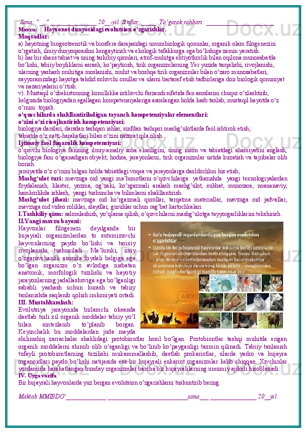  Sana: “__” _______________ 20__-yil. Sinflar:_____. To‘garak rahbari: ______________________ 
Mavzu:        Hayvonot dunyosidagi evolutsion o‘zgarishlar.
Maqsadlar: 
a)  hayotning biogeotsenotik va biosfera darajasidagi umumbiologik qonunlar, organik olam filogenezini 
o‘rgatish, ilmiy dunyoqarashni kengaytirish va ekologik tafakkurga ega bo‘lishiga zamin yaratish.
b)  har bir shaxs tabiat va uning tarkibiy qismlari, atrof-muhitga ehtiyotkorlik bilan oqilona munosabatda 
bo‘lishi, tabiiy boyliklarni asrash, ko‘paytirish, tirik organizmlarning Yer yuzida tarqalishi, rivojlanishi, 
ularning yashash muhitiga moslanishi, muhit va boshqa tirik organizmlar bilan o‘zaro munosabatlari, 
sayyoramizdagi hayotga tahdid soluvchi omillar va ularni bartaraf etish tadbirlariga doir biologik qonuniyat 
va nazariyalarni o‘rtish.
v).   Mustaqil o‘zbekistonning komillikka intiluvchi farzandi sifatida fan asoslarini chuqur o‘zlashtirib, 
kelgusida biologiyadan egallagan kompetensiyalariga asoslangan holda kasb tanlab, mustaqil hayotda o‘z 
o‘rnini  topish.
o‘quvchilarda shakllantiriladigan tayanch kompetensiyalar elementlari:
o‘zini o‘zi rivojlantirish kompetensiyasi:
biologiya darslari, darsdan tashqari ishlar, sinfdan tashqari mashg‘ulotlarda faol ishtirok etish;
tabiatda o‘z  x atti-harakatlari bilan o‘zini nazorat qila olish.
Ijtimoiy faol fuqarolik kompetensiyasi:  
o‘quvchi   biologiya   fanining   ilmiy-amaliy   soha   ekanligini,   uning   inson   va   tabiatdagi   ahamiyatini   anglash,
biologiya fani o‘rganadigan obyekt, hodisa, jarayonlarni, tirik organizmlar ustida kuzatish va tajribalar olib
borish. 
jamiyatda o‘z o‘rnini bilgan holda tabiatdagi voqea va jarayonlarga daxldorlikni his etish;
Mashg‘ulot   turi:   mavzuga   oid   yangi   ma’lumotlarni   o‘quvchilarga     yetkazishda     yangi   texnologiyalardan
foydalanish,   klaster,   yozma,   og‘zaki,   ko‘rgazmali   aralash   mashg‘ulot,   suhbat,   munozara,   noananaviy,
hamkorlikda ishlash,  yangi tushuncha va bilimlarni shakllantirish.
Mashg‘ulot   jihozi:   mavzuga   oid   ko‘rgazmali   qurollar,   tarqatma   materiallar,   mavzuga   oid   jadvallar,
mavzuga oid video roliklar, slaydlar, guruhlar uchun rag ʻ bat kartochkalari.
I.Tashkiliy qism:   salomlashish, yo‘qlama   qilish, o quvchilarni mashgʻ ‘ ulotga tayyorgarliklarini tekshirish.
II.Yangi mavzu bayoni:
Hayvonlar   filogenezi   deyilganda   bir
hujayrali   organizmlardan   to   sutemizuvchi
hayvonlarning   paydo   bo‘lishi   va   tarixiy
rivojlanishi   tushuniladi.   Ma’lumki,   irsiy
o‘zgaruvchanlik   asosida   foydali   belgiga   ega
bo‘lgan   organizm   o‘z   avlodiga   nisbatan
anatomik,   morfologik   tuzilishi   va   hayotiy
jarayonlarning jadallashuviga ega bo‘lganligi
sababli   yashash   uchun   kurash   va   tabiiy
tanlanishda saqlanib qolish imkoniyati ortadi.
III. Mustahkamlash: 
Evolutsiya   jarayonida   birlamchi   okeanda
dastlab turli xil organik moddalar tabiiy yo‘l
bilan   sintezlanib   to‘planib   borgan.
Keyinchalik   bu   moddalardan   juda   mayda
shilimshiq   zarrachalar   shaklidagi   protobiontlar   hosil   bo‘lgan.   Protobiontlar   tashqi   muhitda   erigan
organik   moddalarni   shimib   olib   o‘sganligi   va   bo‘linib   ko‘payganligi   taxmin   qilinadi.   Tabiiy   tanlanish
tufayli   protobiontlarning   tuzilishi   mukammallashib,   dastlab   prokariotlar,   ularda   yadro   va   hujayra
organoidlari  paydo   bo‘lishi  natijasida   esa   bir  hujayrali  eukariot  organizmlar   kelib   chiqqan.  Xivchinlar
yordamida harakatlangan bunday organizmlar barcha bir hujayralilarning umumiy ajdodi hisoblanadi. 
IV. Uyga vazifa :    
Bir hujayrali hayvonlarda yuz bergan evolutsion o‘zgarishlarni tushuntirib bering.
Maktab MMIBDO‘_____________ __________________________sana___ _______________ 20__yil 
