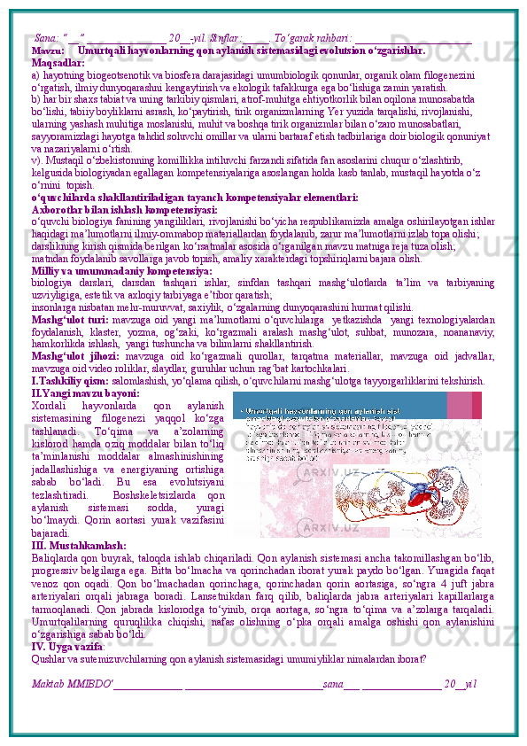  Sana: “__” _______________ 20__-yil. Sinflar:_____. To‘garak rahbari: ______________________ 
Mavzu :        Umurtqali hayvonlarning qon aylanish sistemasidagi evolutsion o‘zgarishlar.
Maqsadlar: 
a)  hayotning biogeotsenotik va biosfera darajasidagi umumbiologik qonunlar, organik olam filogenezini 
o‘rgatish, ilmiy dunyoqarashni kengaytirish va ekologik tafakkurga ega bo‘lishiga zamin yaratish.
b)  har bir shaxs tabiat va uning tarkibiy qismlari, atrof-muhitga ehtiyotkorlik bilan oqilona munosabatda 
bo‘lishi, tabiiy boyliklarni asrash, ko‘paytirish, tirik organizmlarning Yer yuzida tarqalishi, rivojlanishi, 
ularning yashash muhitiga moslanishi, muhit va boshqa tirik organizmlar bilan o‘zaro munosabatlari, 
sayyoramizdagi hayotga tahdid soluvchi omillar va ularni bartaraf etish tadbirlariga doir biologik qonuniyat 
va nazariyalarni o‘rtish.
v).   Mustaqil o‘zbekistonning komillikka intiluvchi farzandi sifatida fan asoslarini chuqur o‘zlashtirib, 
kelgusida biologiyadan egallagan kompetensiyalariga asoslangan holda kasb tanlab, mustaqil hayotda o‘z 
o‘rnini  topish.
o‘quvchilarda shakllantiriladigan tayanch kompetensiyalar elementlari:
Axborotlar bilan ishlash kompetensiyasi:
o‘quvchi biologiya fanining yangiliklari, rivojlanishi bo‘yicha respublikamizda amalga oshirilayotgan ishlar
haqidagi ma’lumotlarni ilmiy-ommabop materiallardan foydalanib, zarur ma’lumotlarni izlab topa olishi; 
darslikning kirish qismida berilgan ko‘rsatmalar asosida o‘rganilgan mavzu matniga reja tuza olish; 
matndan foydalanib savollarga javob topish, amaliy xarakterdagi topshiriq larni bajara olish.
Milliy va umummadaniy kompetensiya:  
biologiya   darslari,   darsdan   tashqari   ishlar,   sinfdan   tashqari   mashg‘ulotlarda   ta’lim   va   tarbiyaning
uzviyligiga, estetik va axloqiy tarbiyaga e’tibor qaratish;
insonlarga nisbatan mehr-muruvvat, saxiylik, o‘zgalarning dunyoqarashini hurmat qilishi.
Mashg‘ulot   turi:   mavzuga   oid   yangi   ma’lumotlarni   o‘quvchilarga     yetkazishda     yangi   texnologiyalardan
foydalanish,   klaster,   yozma,   og‘zaki,   ko‘rgazmali   aralash   mashg‘ulot,   suhbat,   munozara,   noananaviy,
hamkorlikda ishlash,  yangi tushuncha va bilimlarni shakllantirish.
Mashg‘ulot   jihozi:   mavzuga   oid   ko‘rgazmali   qurollar,   tarqatma   materiallar,   mavzuga   oid   jadvallar,
mavzuga oid video roliklar, slaydlar, guruhlar uchun rag ʻ bat kartochkalari.
I.Tashkiliy qism:   salomlashish, yo‘qlama   qilish, o quvchilarni mashgʻ ‘ ulotga tayyorgarliklarini tekshirish.
II.Yangi mavzu bayoni:
Xordali   hayvonlarda   qon   aylanish
sistemasining   filogenezi   yaqqol   ko‘zga
tashlanadi.   To‘qima   va   a’zolarning
kislorod   hamda   oziq   moddalar   bilan   to‘liq
ta’minlanishi   moddalar   almashinishining
jadallashishiga   va   energiyaning   ortishiga
sabab   bo‘ladi.   Bu   esa   evolutsiyani
tezlashtiradi.     Boshskeletsizlarda   qon
aylanish   sistemasi   sodda,   yuragi
bo‘lmaydi.   Qorin   aortasi   yurak   vazifasini
bajaradi. 
III. Mustahkamlash: 
Baliqlarda qon buyrak, taloqda ishlab chiqariladi. Qon aylanish sistemasi ancha takomillashgan bo‘lib,
progressiv belgilarga ega. Bitta bo‘lmacha va qorinchadan iborat yurak paydo bo‘lgan. Yuragida faqat
venoz   qon   oqadi.   Qon   bo‘lmachadan   qorinchaga,   qorinchadan   qorin   aortasiga,   so‘ngra   4   juft   jabra
arteriyalari   orqali   jabraga   boradi.   Lansetnikdan   farq   qilib,   baliqlarda   jabra   arteriyalari   kapillarlarga
tarmoqlanadi.   Qon   jabrada   kislorodga   to‘yinib,   orqa   aortaga,   so‘ngra   to‘qima   va   a’zolarga   tarqaladi.
Umurtqalilarning   quruqlikka   chiqishi,   nafas   olishning   o‘pka   orqali   amalga   oshishi   qon   aylanishini
o‘zgarishiga sabab bo‘ldi.   
IV. Uyga vazifa :    
Qushlar va sutemizuvchilarning qon aylanish sistemasidagi umumiyliklar nimalardan iborat?
Maktab MMIBDO‘_____________ __________________________sana___ _______________ 20__yil 