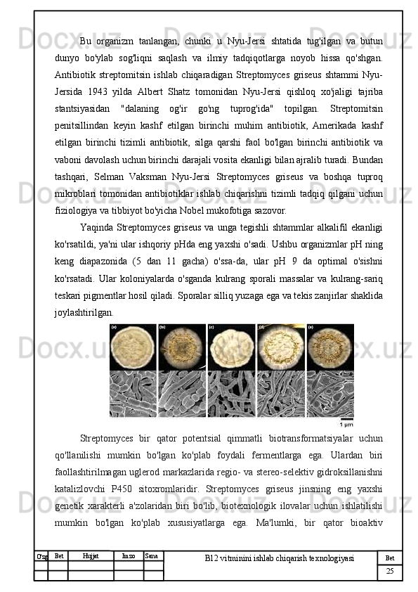 № Хужжат
Изм
25Bet
B12 vitminini ishlab chiqarish texnologiyasiSanaImzoBet
Hujjat
O'zg Bu   organizm   tanlangan,   chunki   u   Nyu-Jersi   shtatida   tug'ilgan   va   butun
dunyo   bo'ylab   sog'liqni   saqlash   va   ilmiy   tadqiqotlarga   noyob   hissa   qo'shgan.
Antibiotik   streptomitsin   ishlab   chiqaradigan   Streptomyces   griseus   shtammi   Nyu-
Jersida   1943   yilda   Albert   Shatz   tomonidan   Nyu-Jersi   qishloq   xo'jaligi   tajriba
stantsiyasidan   "dalaning   og'ir   go'ng   tuprog'ida"   topilgan.   Streptomitsin
penitsillindan   keyin   kashf   etilgan   birinchi   muhim   antibiotik,   Amerikada   kashf
etilgan   birinchi   tizimli   antibiotik,   silga   qarshi   faol   bo'lgan   birinchi   antibiotik   va
vaboni davolash uchun birinchi darajali vosita ekanligi bilan ajralib turadi. Bundan
tashqari,   Selman   Vaksman   Nyu-Jersi   Streptomyces   griseus   va   boshqa   tuproq
mikroblari   tomonidan  antibiotiklar  ishlab   chiqarishni   tizimli  tadqiq  qilgani  uchun
fiziologiya va tibbiyot bo'yicha Nobel mukofotiga sazovor.
Yaqinda  Streptomyces  griseus  va  unga  tegishli   shtammlar  alkalifil  ekanligi
ko'rsatildi, ya'ni ular ishqoriy pHda eng yaxshi o'sadi. Ushbu organizmlar pH ning
keng   diapazonida   (5   dan   11   gacha)   o'ssa-da,   ular   pH   9   da   optimal   o'sishni
ko'rsatadi.   Ular   koloniyalarda   o'sganda   kulrang   sporali   massalar   va   kulrang-sariq
teskari pigmentlar hosil qiladi. Sporalar silliq yuzaga ega va tekis zanjirlar shaklida
joylashtirilgan.   
Streptomyces   bir   qator   potentsial   qimmatli   biotransformatsiyalar   uchun
qo'llanilishi   mumkin   bo'lgan   ko'plab   foydali   fermentlarga   ega.   Ulardan   biri
faollashtirilmagan uglerod markazlarida regio- va stereo-selektiv gidroksillanishni
katalizlovchi   P450   sitoxromlaridir.   Streptomyces   griseus   jinsning   eng   yaxshi
genetik   xarakterli   a'zolaridan   biri   bo'lib,   biotexnologik   ilovalar   uchun   ishlatilishi
mumkin   bo'lgan   ko'plab   xususiyatlarga   ega.   Ma'lumki,   bir   qator   bioaktiv 