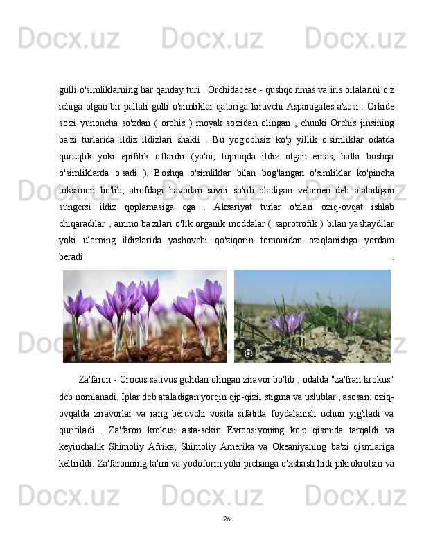 gulli o'simliklarning har qanday turi . Orchidaceae - qushqo'nmas va iris oilalarini o'z
ichiga olgan bir pallali gulli o'simliklar qatoriga kiruvchi Asparagales a'zosi . Orkide
so'zi   yunoncha   so'zdan   (   orchis   )   moyak   so'zidan   olingan   ,   chunki   Orchis   jinsining
ba'zi   turlarida   ildiz   ildizlari   shakli   .   Bu   yog'ochsiz   ko'p   yillik   o'simliklar   odatda
quruqlik   yoki   epifitik   o'tlardir   (ya'ni,   tuproqda   ildiz   otgan   emas,   balki   boshqa
o'simliklarda   o'sadi   ).   Boshqa   o'simliklar   bilan   bog'langan   o'simliklar   ko'pincha
toksimon   bo'lib,   atrofdagi   havodan   suvni   so'rib   oladigan   velamen   deb   ataladigan
süngersi   ildiz   qoplamasiga   ega   .   Aksariyat   turlar   o'zlari   oziq-ovqat   ishlab
chiqaradilar , ammo ba'zilari o'lik organik moddalar ( saprotrofik ) bilan yashaydilar
yoki   ularning   ildizlarida   yashovchi   qo'ziqorin   tomonidan   oziqlanishga   yordam
beradi   .
Za'faron - Crocus sativus gulidan olingan ziravor bo'lib , odatda "za'fran krokus"
deb nomlanadi. Iplar deb ataladigan yorqin qip-qizil stigma va uslublar , asosan, oziq-
ovqatda   ziravorlar   va   rang   beruvchi   vosita   sifatida   foydalanish   uchun   yig'iladi   va
quritiladi   .   Za'faron   krokusi   asta-sekin   Evroosiyoning   ko'p   qismida   tarqaldi   va
keyinchalik   Shimoliy   Afrika,   Shimoliy   Amerika   va   Okeaniyaning   ba'zi   qismlariga
keltirildi. Za'faronning ta'mi va yodoform yoki pichanga o'xshash hidi pikrokrotsin va
26 