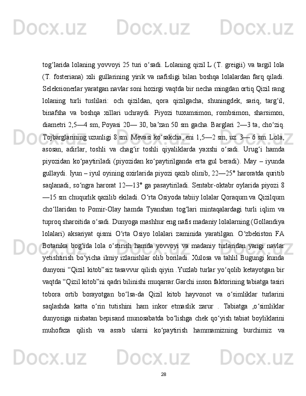 tog larida lolaning yovvoyi 25 turi o sadi. Lolaning qizil L (T. greigii) va targil lolaʻ ʻ
(T.   fosteriana)   xili   gullarining   yirik   va   nafisligi   bilan   boshqa   lolalardan   farq   qiladi.
Seleksionerlar yaratgan navlar soni hozirgi vaqtda bir necha mingdan ortiq Qizil rang
lolaning   turli   tuslilari:   och   qizildan,   qora   qizilgacha,   shuningdek,   sariq,   targ il,	
ʻ
binafsha   va   boshqa   xillari   uchraydi.   Piyozi   tuxumsimon,   rombsimon,   sharsimon,
diametri 2,5—4 sm, Poyasi 20— 30, ba zan 50 sm gacha. Barglari 2—3 ta, cho ziq.	
ʼ ʻ
Tojbarglarining uzunligi 8 sm. Mevasi ko sakcha, eni 1,5—2 sm, uz. 3— 6 sm. Lola,
ʻ
asosan,   adirlar,   toshli   va   chag ir   toshli   qiyaliklarda   yaxshi   o sadi.   Urug i   hamda	
ʻ ʻ ʻ
piyozidan   ko paytiriladi   (piyozidan   ko paytirilganda   erta   gul   beradi).   May   –   iyunda	
ʻ ʻ
gullaydi. Iyun – iyul oyining oxirlarida piyozi qazib olinib, 22—25° haroratda quritib
saqlanadi, so ngra harorat 12—13° ga pasaytiriladi. Sentabr-oktabr oylarida piyozi 8
ʻ
—15 sm chuqurlik qazilib ekiladi. O rta Osiyoda tabiiy lolalar Qoraqum va Qizilqum	
ʻ
cho llaridan   to   Pomir-Olay   hamda   Tyanshan   tog lari   mintaqalardagi   turli   iqlim   va	
ʻ ʻ
tuproq sharoitida o sadi. Dunyoga mashhur eng nafis madaniy lolalarning (Gollandiya	
ʻ
lolalari)   aksariyat   qismi   O rta   Osiyo   lolalari   zaminida   yaratilgan.   O zbekiston   FA	
ʻ ʻ
Botanika   bog ida   lola   o stirish   hamda   yovvoyi   va   madaniy   turlaridan   yangi   navlar	
ʻ ʻ
yetishtirish   bo yicha   ilmiy   izlanishlar   olib   boriladi.   Xulosa   va   tahlil   Bugungi   kunda
ʻ
dunyoni “Qizil kitob”siz tasavvur qilish qiyin .Yuzlab turlar yo qolib ketayotgan bir	
ʻ
vaqtda “Qizil kitob”ni qadri bilinishi muqarrar.Garchi inson faktorining tabiatga tasiri
tobora   ortib   borayotgan   bo lsa-da   Qizil   kitob   hayvonot   va   o simliklar   turlarini	
ʻ ʻ
saqlashda   katta   o rin   tutishini   ham   inkor   etmaslik   zarur   .   Tabiatga   ,o simliklar	
ʻ ʻ
dunyosiga  nisbatan  bepisand  munosabatda   bo lishga  chek  qo yish  tabiat  boyliklarini	
ʻ ʻ
muhofaza   qilish   va   asrab   ularni   ko paytirish   hammamizning   burchimiz   va	
ʻ
28 