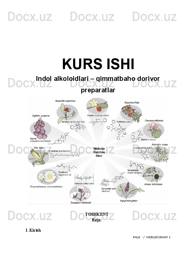 KURS ISHI
Indol alkoloidlari –   qimmatbaho dorivor
preparatlar
TOSHKENT
Reja:
I. Kirish
 PAGE   \* MERGEFORMAT 1 