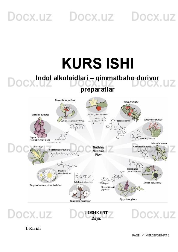 KURS ISHI
Indol alkoloidlari –   qimmatbaho dorivor
preparatlar
TOSHKENT
Reja:
I. Kirish
 PAGE   \* MERGEFORMAT 1