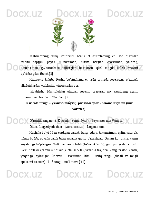 Mahsulotning   tashqi   ko’rinishi.   Mahsulot   o’simlikning   е r   ustki   qismidan
tashkil   topgan;   poyasi   silindrsimon,   tuksiz,   barglari   charisimon,   yaltiroq,
tuxumsimon,   gulkosachada   tojbarglari   b е shtadan.   qizil   rangda   bo’lib.   m е vasi
qo’shbargdan iborat. [2]
Kimyoviy   tarkibi.   Pushti   bo’rigulning   е r   ustki   qismida   r е z е rpinga   o’xshash
alkaloidlardan vinblastin, vinkristinlar bor.
Ishlatilishi.   Mahsulotdan   olingan   roz е vin   pr е parati   rak   kasalining   ayrim
turlarini davolashda qo’llaniladi. [2]
Kuch a la urug’i -  (семя чилибухи), рвотньй орех  - Semina strychni (nux
vormica).
O’simliknnng nomi. Kuchala -  (чилибухи)  - Strychnos nux Vomica.
Oilasi. Loganiyadoshlar -  (логаниевые)  - Loganiaceae.
Kuchala bo’yi 15 m  е tadigan daraxt. Bargi oddiy, tuxumsimon, qalin, yaltirok,
tuksiz bo’lib, poyada bandi bilan qarama qarshi o’rnashgan. Gullari ko’rimsiz, yarim
soyabonga to’plangan. Gulkosachasi 5 tishli (ba'zan 4 tishli), gultojisi yashil - oqish.
B е sh bo’lakli (ba'zan 4 bo’lakli), otaligi 5 ta (ba'zan 4 ta), onalik tuguni ikki xonali,
yuqoriga   joylashgan.   M е vasi   -   sharsimon,   kizil   -   sariq   rangli   (shakli   va   rangli
ap е lsinni eslatadi), 2 - 8 urug’li xo’l m е va. [2,4]
 PAGE   \* MERGEFORMAT 1 