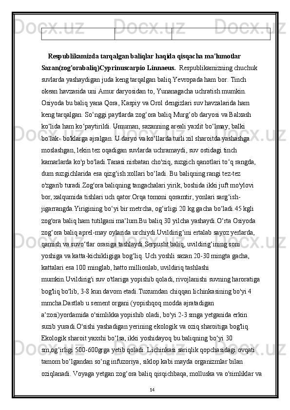 Respublikamizda tarqalgan baliqlar haqida qisqacha ma'lumotlar
Sazan(zog'orabaliq)Cyprinuscarpio Linnaeus.   Respublikamizning chuchuk 
suvlarda yashaydigan juda keng tarqalgan baliq.Yevropada ham bor. Tinch 
okean havzasida uni Amur daryosidan to, Yunanagacha uchratish mumkin. 
Osiyoda bu baliq yana Qora, Kaspiy va Orol dengizlari suv havzalarida ham 
keng tarqalgan. So ‘ nggi paytlarda zog ‘ ora baliq Murg ‘ ob daryosi va Balxash 
ko ‘ lida ham ko ‘ paytirildi. Umuman, sazanning areali yaxlit bo ‘ lmay, balki 
bo ‘ lak- bo'klarga ajralgan. U daryo va ko ‘ llarda turli xil sharoitda yashashga 
moslashgan, lekin tez oqadigan suvlarda uchramaydi, suv ostidagi tinch 
kamarlarda ko'p bo'ladi.Tanasi nisbatan cho'ziq, suzgich qanotlari to ‘ q rangda, 
dum suzgichlarida esa qizg ‘ ish xollari bo ‘ ladi. Bu baliqning rangi tez-tez 
o'zgarib turadi.Zog'ora baliqning tangachalari yirik, boshida ikki juft mo'ylovi 
bor, xalqumida tishlari uch qator.Orqa tomoni qoramtir, yonlari sarg ‘ ish- 
jigarrangda.Yirigining bo ‘ yi bir metrcha, og ‘ irligi 20 kg gacha bo ‘ ladi.45 kgli 
zog'ora baliq ham tutilgani ma ‘ lum.Bu baliq 30 yilcha yashaydi.O ‘ rta Osiyoda 
zog ‘ ora baliq aprel-may oylarida urchiydi.Uvildirig ‘ ini ertalab sayoz yerlarda, 
qamish va suvo ‘ tlar orasiga tashlaydi.Serpusht baliq, uvildirig ‘ ining soni 
yoshiga va katta-kichikligiga bog ‘ liq. Uch yoshli sazan 20-30 mingta gacha, 
kattalari esa 100 minglab, hatto millionlab, uvildiriq tashlashi 
mumkin.Uvildirig'i suv o'tlariga yopishib qoladi, rivojlanishi suvning haroratiga 
bog'liq bo'lib, 3-8 kun davom etadi.Tuxumdan chiqqan lichinkasining bo'yi 4 
mmcha.Dastlab u sement organi (yopishqoq modda ajratadigan 
a ‘ zosi)yordamida o'simlikka yopishib oladi, bo'yi 2-3 smga yetganida erkin 
suzib yuradi.O'sishi yashadigan yerining ekologik va oziq sharoitiga bog'liq. 
Ekologik sharoit yaxshi bo ‘ lsa, ikki yoshidayoq bu baliqning bo ‘ yi 30 
sm,og ‘ irligi 500-600grga yetib qoladi. Lichinkasi sariqlik qopchasidagi ovqati 
tamom bo ‘ lgandan so ‘ ng infuzoriya, siklop kabi mayda organizmlar bilan 
oziqlanadi. Voyaga yetgan zog ‘ ora baliq qisqichbaqa, molluska va o'simliklar va
14