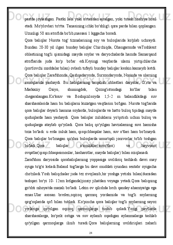 pastda joylashgan. Pastki labi yoki o'rtasidan ajralgan, yoki tutash hoshiya hosil
etadi. Mo'ylovlari to'rtta. Tanasining ichki bo'shlig'i qora parda bilan qoplangan.
Uzunligi 50 sm atrofida bo'lib,massasi 1 kggacha boradi.
Qora   baliqlar   Nurota   tog'   tizmalarining   soy   va   buloqlarida   ko'plab   uchraydi.
Bundan   20-30   yil   ilgari   bunday   baliqlar   Chirchiqda,   Ohangaronda   vaToshkent
oblastining   tog'li   qismidagi   mayda   soylar   va   daryochalarda   hamda   Samarqand
atroflarida   juda   ko'p   bo'lar   edi.Keyingi   vaqtlarda   ularni   yirtqichlarcha
(portlovchi moddalar bilan) ovlash tufayli bunday baliqlar keskin kamayib ketdi.
Qora baliqlar Zarafshonda, Qashqadaryoda, Surxondaryoda, Norinda va ularning
irmoqlarida   yashaydi.   Bu   baliqlarning   tarqalish   oblastlari   daryolar,   O’rta   va
Markaziy   Osiyo,   shuningdek,   Qozog'istondagi   ko'llar   bilan
chegaralangan.Ko'ksuv   va   Boshqizilsoyda   1,5-2   m   balandlikdagi   suv
sharsharalarida ham  bu baliqlarni kuzatgan vaqtlarim bo'lgan. Nurota tog'larida
qora baliqlar deyarli hamma soylarda, buloqlarda va hatto buloq tipidagi mayda
quduqlarda   ham   yashaydi.   Qora   baliqlar   zuluklarni   yo'qotish   uchun   buloq   va
quduqlarga   ataylab   qo'yiladi.   Qora   baliq   qo'yilgan   havzalarning   suvi   hamisha
toza   bo'ladi:   u   erda   zuluk   ham,  qisqichbaqalar   ham,   suv   o'tlari   ham   bo'lmaydi.
Qora   baliqlar   bo'lmagan   qo'shni   buloqlarda   umurtqali   jonivorlar   to'lib   toshgan
bo'ladi.Qora   baliqlar   o'simliklar(suvo'tlari)   va   hayvonot
ovqatlar(qisqichbaqasimonlar, hasharotlar, mayda baliqlar) bilan oziqlanadi.
Zarafshon   daryosida   qorabaliqlarning   yoppasiga   uvildiriq   tashlash   davri   may
oyiga  to'g'ri   keladi.Baland   tog'larga   bu  davr  muddati  iyundan  sentabr   oyigacha
cho'ziladi.Yosh baliqchalar juda tez rivojlanib,bir yoshga yetishi bilan(dumidan
tashqari   bo'yi   10-   12sm   kelganda)jinsiy   jihatdan   voyaga   yetadi.Qora   baliqning
go'shti nihoyatda mazali bo'ladi. Lekin ov qilishda hech qanday ahamiyatga ega
emas.Ular   asosan   breden,oqizoq   qarmoq   yordamida   va   tog'li   soylarning
qirg'oqlarida   qo'l   bilan   tutiladi.   Ko'pincha   qora   baliqlar   tog'li   soylarning   sayoz
yerlariga   qo'yilgan   oqizoq   qarmoqlarga   tushib   qoladi.Yozgi   paytlarda
sharsharalarga,   ko'prik   ostiga   va   suv   aylanib   oqadigan   aylanmalarga   tashlab
qo'yilgan   qarmoqlarga   ilinib   turadi.Qora   baliqlarning   uvildiriqlari   zaharli
24 