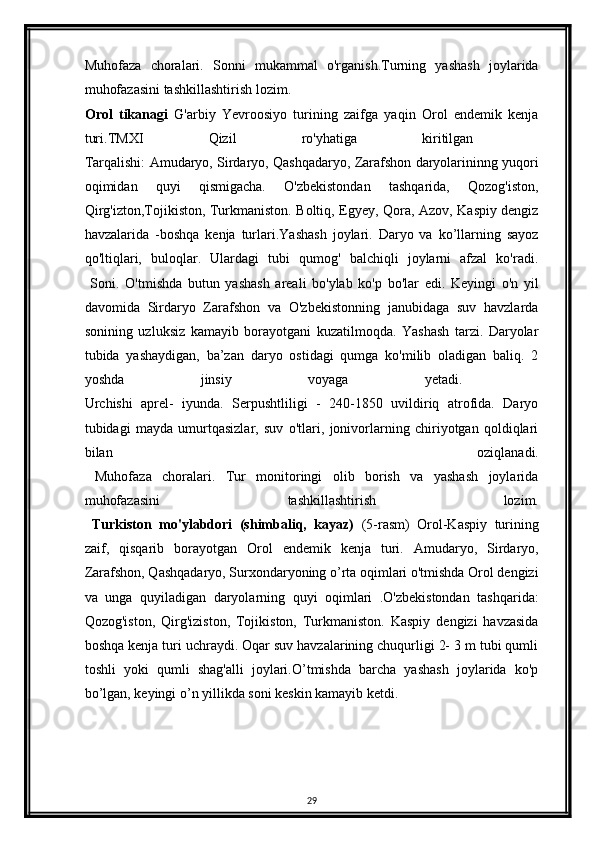 Muhofaza   choralari.   Sonni   mukammal   o'rganish.Turning   yashash   joylarida
muhofazasini tashkillashtirish lozim.
Orol   tikanagi   G'arbiy   Yevroosiyo   turining   zaifga   yaqin   Orol   endemik   kenja
turi.TMXI   Qizil   ro'yhatiga   kiritilgan  
Tarqalishi: Amudaryo, Sirdaryo, Qashqadaryo, Zarafshon daryolarininng yuqori
oqimidan   quyi   qismigacha.   O'zbekistondan   tashqarida,   Qozog'iston,
Qirg'izton,Tojikiston, Turkmaniston. Boltiq, Egyey, Qora, Azov, Kaspiy dengiz
havzalarida   -boshqa   kenja   turlari.Yashash   joylari.   Daryo   va   ko’llarning   sayoz
qo'ltiqlari,   buloqlar.   Ulardagi   tubi   qumog'   balchiqli   joylarni   afzal   ko'radi.
  Soni.   O'tmishda   butun   yashash   areali   bo'ylab   ko'p   bo'lar   edi.   Keyingi   o'n   yil
davomida   Sirdaryo   Zarafshon   va   O'zbekistonning   janubidaga   suv   havzlarda
sonining   uzluksiz   kamayib   borayotgani   kuzatilmoqda.   Yashash   tarzi.   Daryolar
tubida   yashaydigan,   ba’zan   daryo   ostidagi   qumga   ko'milib   oladigan   baliq.   2
yoshda   jinsiy   voyaga   yetadi.  
Urchishi   aprel-   iyunda.   Serpushtliligi   -   240-1850   uvildiriq   atrofida.   Daryo
tubidagi   mayda   umurtqasizlar,   suv   o'tlari,   jonivorlarning   chiriyotgan   qoldiqlari
bilan   oziqlanadi.
  Muhofaza   choralari.   Tur   monitoringi   olib   borish   va   yashash   joylarida
muhofazasini   tashkillashtirish   lozim.
  Turkiston   mo'ylabdori   (shimbaliq,   kayaz)   (5-rasm)   Orol-Kaspiy   turining
zaif,   qisqarib   borayotgan   Orol   endemik   kenja   turi.   Amudaryo,   Sirdaryo,
Zarafshon, Qashqadaryo, Surxondaryoning o’rta oqimlari o'tmishda Orol dengizi
va   unga   quyiladigan   daryolarning   quyi   oqimlari   .O'zbekistondan   tashqarida:
Qozog'iston,   Qirg'iziston,   Tojikiston,   Turkmaniston.   Kaspiy   dengizi   havzasida
boshqa kenja turi uchraydi. Oqar suv havzalarining chuqurligi 2- 3 m tubi qumli
toshli   yoki   qumli   shag'alli   joylari.O’tmishda   barcha   yashash   joylarida   ko'p
bo’lgan, keyingi o’n yillikda soni keskin kamayib ketdi.   
29