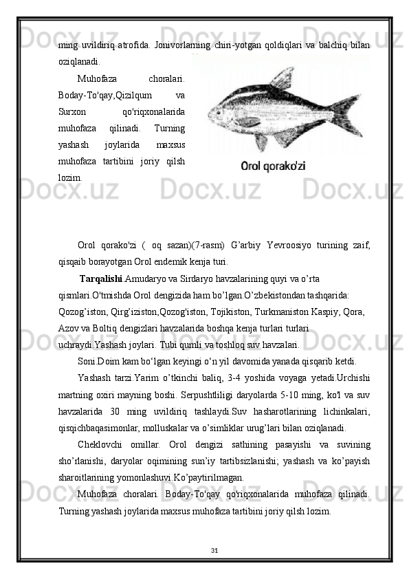 ming   uvildiriq   atrofida.   Jonivorlarning   chiri-yotgan   qoldiqlari   va   balchiq   bilan
oziqlanadi.
Muhofaza   choralari.
Boday-To'qay,Qizilqum   va
Surxon   qo'riqxonalarida
muhofaza   qilinadi.   Turning
yashash   joylarida   maxsus
muhofaza   tartibini   joriy   qilsh
lozim.
Orol   qorako'zi   (   oq   sazan)(7-rasm)   G’arbiy   Yevroosiyo   turining   zaif,
qisqaib borayotgan Orol endemik kenja turi.
          Tarqalishi .Amudaryo va Sirdaryo havzalarining quyi va o’rta 
qismlari.O'tmishda Orol dengizida ham bo’lgan.O’zbekistondan tashqarida: 
Qozog’iston, Qirg’iziston,Qozog'iston, Tojikiston, Turkmaniston Kaspiy, Qora, 
Azov va Boltiq dengizlari havzalarida boshqa kenja turlari turlari 
uchraydi.Yashash joylari. Tubi qumli va toshloq suv havzalari.
Soni.Doim kam bo‘lgan keyingi o‘n yil davomida yanada qisqarib ketdi.
Yashash   tarzi.Yarim   o’tkinchi   baliq,   3-4   yoshida   voyaga   yetadi.Urchishi
martning oxiri mayning boshi. Serpushtliligi daryolarda 5-10 ming, ko'l va suv
havzalarida   30   ming   uvildiriq   tashlaydi.Suv   hasharotlarining   lichinkalari,
qisqichbaqasimonlar, molluskalar va o’simliklar urug’lari bilan oziqlanadi.
Cheklovchi   omillar.   Orol   dengizi   sathining   pasayishi   va   suvining
sho’rlanishi,   daryolar   oqimining   sun’iy   tartibsizlanishi;   yashash   va   ko’payish
sharoitlarining yomonlashuvi.Ko’paytirilmagan.
Muhofaza   choralari.   Boday-To'qay   qo'riqxonalarida   muhofaza   qilinadi.
Turning yashash joylarida maxsus muhofaza tartibini joriy qilsh lozim.
31 