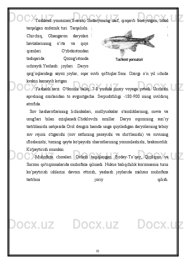 Toshkent   yonsuzari(8-rasm)   Sirdaryoning   zaif,   qisqarib   borayotgan,   lokal
tarqalgan   endemik   turi.   Tarqalishi.
Chirchiq,   Ohangaron   daryolari
havzalarinnng   o’rta   va   quyi
qismlari.   O'zbekistondan
tashqarida   Qozog'istonda
uchraydi.Yashash   joylari.   Daryo
qirg’oqlaridagi   sayoz   joylar,   oqar   suvli   qo'ltiqlar.Soni.   Oxirgi   o’n   yil   ichida
keskin kamayib ketgan.
Yashash   tarzi.   O'tkinchi   baliq,   7-8   yoshda   jinsiy   voyaga   yetadi.   Urchishi
aprelning   oxirlaridan   to   avgustgacha.   Serpushtliligi   -180-900   ming   uvildiriq
atrofida.    
  Suv   hasharotlarinnig   lichinkalari,   mollyuskalar   o'simliklarning,   meva   va
urug'lari   bilan   oziqlanadi.Cheklovchi   omillar.   Daryo   oqimining   sun’iy
tartiblanishi natijasida Orol dengizi hamda unga quyiladigan daryolarning tabiiy
suv   rejimi   o'zgarishi   (suv   sathining   pasayishi   va   sho'rlanishi)   va   suvining
ifloslanishi; turning qayta ko'payishi sharoitlarining yomonlashishi, brakonerlik.
Ko'paytirish mumkin.
Muhofaza   choralari.   Ovlash   taqiqlangan.   Boday-To’qay,   Qizilqum   va
Surxon qo'riqxonalarida muhofaza qilinadi. Nukus baliqchilik korxonasini turni
ko’paytirish   ishlarini   davom   ettirish,   yashash   joylarida   mahsus   muhofaza
tartibini   joriy   qilish.
32 