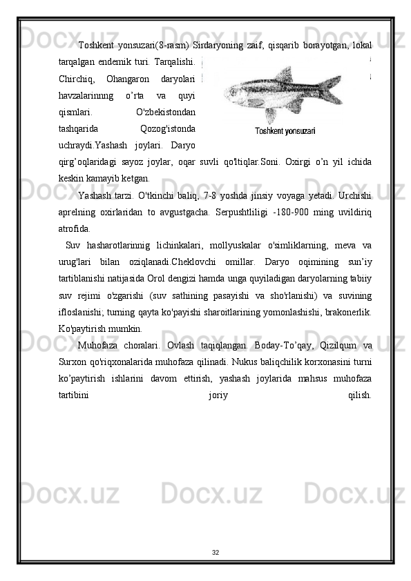 Toshkent   yonsuzari(8-rasm)   Sirdaryoning   zaif,   qisqarib   borayotgan,   lokal
tarqalgan   endemik   turi.   Tarqalishi.
Chirchiq,   Ohangaron   daryolari
havzalarinnng   o’rta   va   quyi
qismlari.   O'zbekistondan
tashqarida   Qozog'istonda
uchraydi.Yashash   joylari.   Daryo
qirg’oqlaridagi   sayoz   joylar,   oqar   suvli   qo'ltiqlar.Soni.   Oxirgi   o’n   yil   ichida
keskin kamayib ketgan.
Yashash   tarzi.   O'tkinchi   baliq,   7-8   yoshda   jinsiy   voyaga   yetadi.   Urchishi
aprelning   oxirlaridan   to   avgustgacha.   Serpushtliligi   -180-900   ming   uvildiriq
atrofida.    
  Suv   hasharotlarinnig   lichinkalari,   mollyuskalar   o'simliklarning,   meva   va
urug'lari   bilan   oziqlanadi.Cheklovchi   omillar.   Daryo   oqimining   sun’iy
tartiblanishi natijasida Orol dengizi hamda unga quyiladigan daryolarning tabiiy
suv   rejimi   o'zgarishi   (suv   sathining   pasayishi   va   sho'rlanishi)   va   suvining
ifloslanishi; turning qayta ko'payishi sharoitlarining yomonlashishi, brakonerlik.
Ko'paytirish mumkin.
Muhofaza   choralari.   Ovlash   taqiqlangan.   Boday-To’qay,   Qizilqum   va
Surxon qo'riqxonalarida muhofaza qilinadi. Nukus baliqchilik korxonasini turni
ko’paytirish   ishlarini   davom   ettirish,   yashash   joylarida   mahsus   muhofaza
tartibini   joriy   qilish.
32
