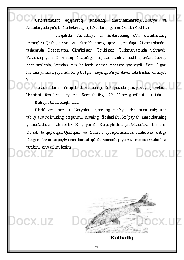 Cho'rtansifat   oqqayroq   (kalbaliq,   cho'rtanmarka) .Sirdaryo   va
Amudaryoda yo'q bo'lib ketayotgan, lokal tarqalgan endemik relikt turi.
                Tarqalishi.   Amudaryo   va   Sirdaryoning   o'rta   oqimlarining
tarmoqlari:Qashqadaryo   va   Zarafshonning   quyi   qismidagi   O'zbekistondan
tashqarida   Qozog'iston,   Qirg'iziston,   Tojikiston,   Turkmanistonda   uchraydi.
Yashash joylari. Daryoning chuqurligi 3 m, tubi qumli va toshloq joylari. Loyqa
oqar   suvlarda,   kamdan-kam   hollarda   oqmas   suvlarda   yashaydi.   Soni.   Ilgari
hamma yashash joylarida ko'p bo'lgan, keyingi o'n yil davomida keskin kamayib
ketdi.
Yashash   tarzi.   Yirtqich   daryo   balig'i.   6-7   yoshda   jinsiy   voyaga   yetadi.
Urchishi - fevral-mart oylarida. Serpushtliligi - 22-190 ming uvildiriq atrofida. 
Baliqlar bilan oziqlanadi.
Cheklovchi   omillar.   Daryolar   oqimining   sun’iy   tartiblanishi   natijasida
tabiiy   suv   rejimining   o'zgarishi,   suvning   ifloslanishi,   ko’payish   sharoitlarining
yomonlashuvi   brakonerlik.   Ko'paytirish.   Ko'paytirilmagan.Muhofaza   choralari.
Ovlash   ta’qiqlangan.Qizilqum   va   Surxon   qo'riqxonalarida   muhofaza   ostiga
olingan. Turni ko'paytirishni tashkil  qilish, yashash joylarida maxsus muhofaza
tartibini joriy qilish lozim.
33