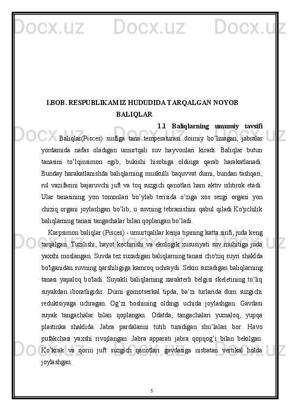     I.BOB. RESPUBLIKAMIZ HUDUDIDA TARQALGAN NOYOB 
                                            BALIQLAR
                                        1.1   Baliqlarning   umumiy   tavsifi
          Baliqlar(Pisces)   sinfiga   tana   temperaturasi   doimiy   bo’lmagan,   jabralar
yordamida   nafas   oladigan   umurtqali   suv   hayvonlari   kiradi.   Baliqlar   butun
tanasini   to’lqinsimon   egib,   bukishi   hisobiga   oldinga   qarab   harakatlanadi.
Bunday harakatlanishda  baliqlarning muskulli baquvvat  dumi, bundan tashqari,
rul   vazifasini   bajaruvchi   juft   va   toq   suzgich   qanotlari   ham   aktiv   ishtirok   etadi.
Ular   tanasining   yon   tomonlari   bo’ylab   terisida   o’ziga   xos   sezgi   organi   yon
chiziq   organi   joylashgan   bo’lib,   u   suvning   tebranishini   qabul   qiladi.Ko'pchilik
baliqlarning tanasi tangachalar bilan qoplangan bo’ladi.
    Karpsimon baliqlar (Pisces) - umurtqalilar kenja tipining katta sinfi, juda keng
tarqalgan.   Tuzilishi,   hayot   kechirishi   va   ekologik   xususiyati   suv   muhitiga   juda
yaxshi moslangan. Suvda tez suzadigan baliqlarning tanasi ch о 'ziq suyri shaklda
b о 'lganidan suvning qarshiligiga kamroq uchraydi. Sekin suzadigan baliqlarning
tanasi   yapaloq   b о 'ladi.   Suyakli   baliqlarning   xarakterli   belgisi   skeletining   to‘liq
suyakdan   iboratligidir.   Dumi   gomotserkal   tipda,   ba’zi   turlarida   dum   suzgichi
reduktsiyaga   uchragan.   Og’zi   boshining   oldingi   uchida   joylashgan.   Gavdasi
suyak   tangachalar   bilan   qoplangan.   Odatda,   tangachalari   yumaloq,   yupqa
plastinka   shaklida.   Jabra   pardalarini   tutib   turadigan   shu’lalari   bor.   Havo
pufakchasi   yaxshi   rivojlangan.   Jabra   apparati   jabra   qopqog’i   bilan   bekilgan.
Ko’krak   va   qorin   juft   suzgich   qanotlari   gavdasiga   nisbatan   vertikal   holda
joylashgan.
5 