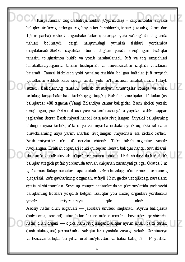           Karpsimonlar   zog'orabaliqsimonlar   (Cyprinidae)   -   karpsimonlar   suyakli
baliqlar   sinfining   turlarga   eng   boy   oilasi   hisoblanib,   tanasi   (uzunligi   2   sm   dan
1,5   m   gacha)   sikloid   tangachalar   bilan   qoplangan   yoki   yalang'och.   Jag'larida
tishlari   bo'lmaydi,   ozig'i   halqumidagi   yutinish   tishlari   yordamida
maydalanadi.Skeleti   suyakdan   iborat.   Jag'lari   yaxshi   rivojlangan.   Baliqlar
tanasini   t о 'lqinsimon   bukib   va   yozib   harakatlanadi.   Juft   va   toq   suzgichlari
harakatlanayotganida   tanani   boshqarish   va   muvozanatini   saqlash   vazifasini
bajaradi.   Tanasi   kichikroq   yoki   yapaloq   shaklda   b о 'lgan   baliqlar   juft   suzgich
qanotlarini   eshkak   kabi   suvga   urishi   yoki   t о 'lqinsimon   harakatlanishi   tufayli
suzadi.   Baliqlarning   tanasini   bukish   xususiyati   umurtqalar   soniga   va   terisi
sirtidagi tangachalar kata kichikligiga bog'liq. Baliqlar umurtqalari 16 tadan (oy
baliqlarda) 400 tagacha (Yangi  Zelandiya kamar balig'ida). Bosh skeleti  yaxshi
rivojlangan,   yuz   skeleti   til   osti   yoyi   va   beshtacha   jabra   yoyidan   tashkil   topgan
jag'lardan iborat. Bosh miyasi har xil darajada rivojlangan. Suyakli baliqlarning
oldingi   miyasi   kichik,   о 'rta   miya   va   miyacha   nisbatan   yirikroq,   ikki   xil   nafas
oluvchilarning   miya   yarim   sharlari   rivojlangan,   miyachasi   esa   kichik   b о 'ladi.
Bosh   miyasidan   о 'n   juft   nervlar   chiqadi.   Ta‘m   bilish   organlari   yaxshi
rivojlangan. Eshitish organlari ichki quloqdan iborat, baliqlar har xil tovushlarni,
shu jumladan ultratovush to'lqinlarini yaxshi eshitadi. Urchish davrida k о 'pchilik
baliqlar suzgich pufak yordamida tovush chiqarish xususiyatiga ega. Odatda 1 m
gacha masofadagi narsalarni ajrata oladi. Lekin ko'zdagi   о 'roqsimon  о 'simtaning
qisqarishi, k о 'z gavharining o'zgarishi tufayli 12 m gacha uzoqlikdagi narsalarni
ajrata olishi  mumkin. Suvning chuqur  qatlamlarida va g'or suvlarida yashovchi
baliqlarning   ko'zlari   y о 'qolib   ketgan.   Baliqlar   yon   chiziq   organlari   yordamida
yaxshi   oriyentatsiya   qila   oladi.  
Asosiy   nafas   olish   organlari   —   jabralari   umrbod   saqlanadi.   Ayrim   baliqlarda
(polipterus,   seratod)   jabra   bilan   bir   qatorda   atmosfera   havosidan   q о 'shimcha
nafas   olish   organi   —   о 'pka   ham   rivojlangan.Baliqlar   ayrim   jinsli,   ba‘zi   turlari
(tosh   olabug   asi)   germafrodit.   Baliqlar   turli   yoshda   voyaga   yetadi.   Gambuziya
va tezsuzar  baliqlar  bir yilda, orol  m о 'ylovdori  va bakra baliq 12— 14 yoshda,
6 