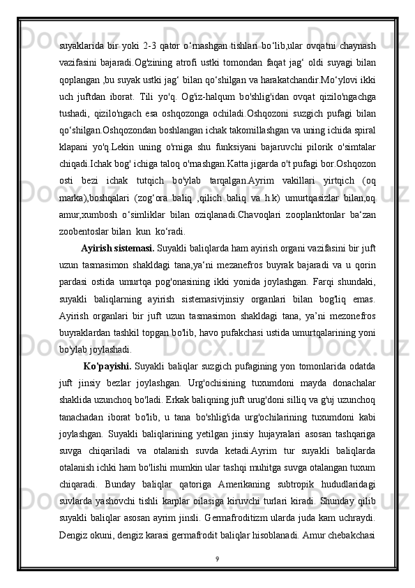 suyaklarida   bir   yoki   2-3   qator   o ‘ rnashgan   tishlari   bo ‘ lib,ular   ovqatni   chaynash
vazifasini   bajaradi.Og'zining   atrofi   ustki   tomondan   faqat   jag ‘   oldi   suyagi   bilan
qoplangan ,bu suyak ustki jag ‘  bilan qo ‘ shilgan va harakatchandir.Mo ‘ ylovi ikki
uch   juftdan   iborat.   Tili   y о 'q.   Og'iz-halqum   b о 'shlig'idan   ovqat   qizil о 'ngachga
tushadi,   qizil о 'ngach   esa   oshqozonga   ochiladi.Oshqozoni   suzgich   pufagi   bilan
qo‘shilgan.Oshqozondan boshlangan ichak takomillashgan va uning ichida spiral
klapani   y о 'q.Lekin   uning   о 'rniga   shu   funksiyani   bajaruvchi   pilorik   o'simtalar
chiqadi.Ichak bog' ichiga taloq  о 'rnashgan.Katta jigarda  о 't pufagi bor.Oshqozon
osti   bezi   ichak   tutqich   b о 'ylab   tarqalgan.Ayrim   vakillari   yirtqich   (oq
marka),boshqalari   (zog‘ora   baliq   ,qilich   baliq   va   h.k)   umurtqasizlar   bilan,oq
amur,xumbosh   o ‘ simliklar   bilan   oziqlanadi.Chavoqlari   zooplanktonlar   ba ‘ zan
zoobentoslar bilan  kun  ko ‘ radi.
         Ayirish sistemasi.  Suyakli baliqlarda ham ayirish organi vazifasini bir juft
uzun   tasmasimon   shakldagi   tana,ya ‘ ni   mezanefros   buyrak   bajaradi   va   u   qorin
pardasi   ostida   umurtqa   pog'onasining   ikki   yonida   joylashgan.   Farqi   shundaki,
suyakli   baliqlarning   ayirish   sistemasivjinsiy   organlari   bilan   bog'liq   emas.
Ayirish   organlari   bir   juft   uzun   tasmasimon   shakldagi   tana,   ya’ni   mezonefros
buyraklardan tashkil topgan b о 'lib, havo pufakchasi ustida umurtqalarining yoni
b о 'ylab joylashadi. 
              Ko'payishi.   Suyakli   baliqlar   suzgich   pufagining  yon   tomonlarida   odatda
juft   jinsiy   bezlar   joylashgan.   Urg'ochisining   tuxumdoni   mayda   donachalar
shaklida uzunchoq b о 'ladi. Erkak baliqning juft urug'doni silliq va g'uj uzunchoq
tanachadan   iborat   b о 'lib,   u   tana   b о 'shlig'ida   urg'ochilarining   tuxumdoni   kabi
joylashgan.   Suyakli   baliqlarining   yetilgan   jinsiy   hujayralari   asosan   tashqariga
suvga   chiqariladi   va   otalanish   suvda   ketadi.Ayrim   tur   suyakli   baliqlarda
otalanish ichki ham bo'lishi mumkin ular tashqi muhitga suvga otalangan tuxum
chiqaradi.   Bunday   baliqlar   qatoriga   Amerikaning   subtropik   hududlaridagi
suvlarda   yashovchi   tishli   karplar   oilasiga   kiruvchi   turlari   kiradi.   Shunday   qilib
suyakli  baliqlar  asosan  ayrim  jinsli. Germafroditizm  ularda juda kam uchraydi.
Dengiz okuni, dengiz karasi germafrodit baliqlar hisoblanadi. Amur chebakchasi
9 