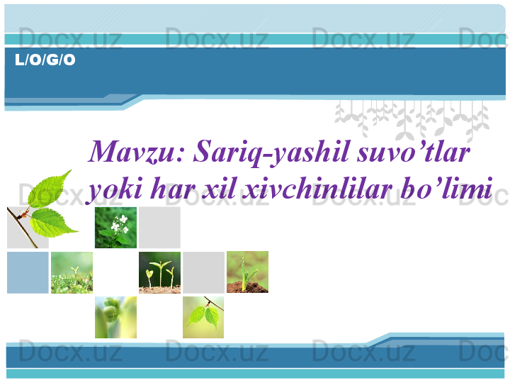 L/O/G/O
Mavzu: Sariq-yashil suvo’tlar 
yoki har xil xivchinlilar bo’limi      