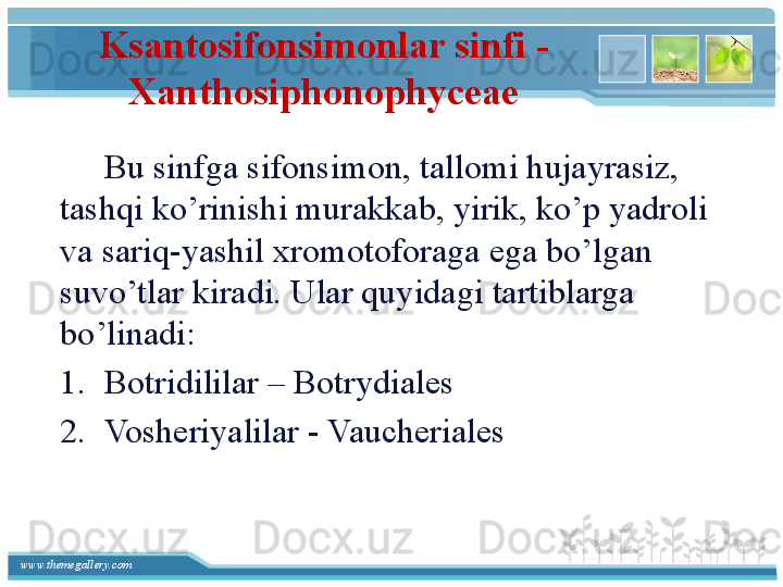 www.themegallery.com Ksantosifonsimonlar sinfi - 
Xanthosiphonophyceae
      Bu sinfga sifonsimon, tallomi hujayrasiz, 
tashqi ko’rinishi murakkab, yirik, ko’p yadroli 
va sariq-yashil xromotoforaga ega bo’lgan 
suvo’tlar kiradi. Ular quyidagi tartiblarga 
bo’linadi: 
1. Botridililar – Botrydiales
2. Vosheriyalilar - Vaucheriales