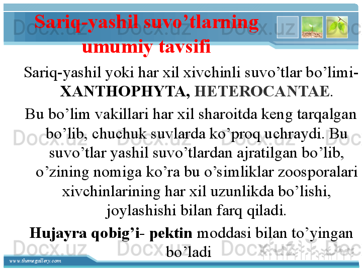 www.themegallery.com Sariq-yashil suvo’tlarning 
umumiy tavsifi
Sariq-yashil yoki har xil xivchinli suvo’tlar bo’limi-
XANTHOPHYTA,  HETEROCANTAE .
Bu bo’lim vakillari har xil sharoitda keng tarqalgan 
bo’lib, chuchuk suvlarda ko’proq uchraydi. Bu 
suvo’tlar yashil suvo’tlardan ajratilgan bo’lib, 
o’zining nomiga ko’ra bu o’simliklar zoosporalari 
xivchinlarining har xil uzunlikda bo’lishi, 
joylashishi bilan farq qiladi.
Hujayra qobig’i- pektin  moddasi bilan to’yingan 
bo’ladi       