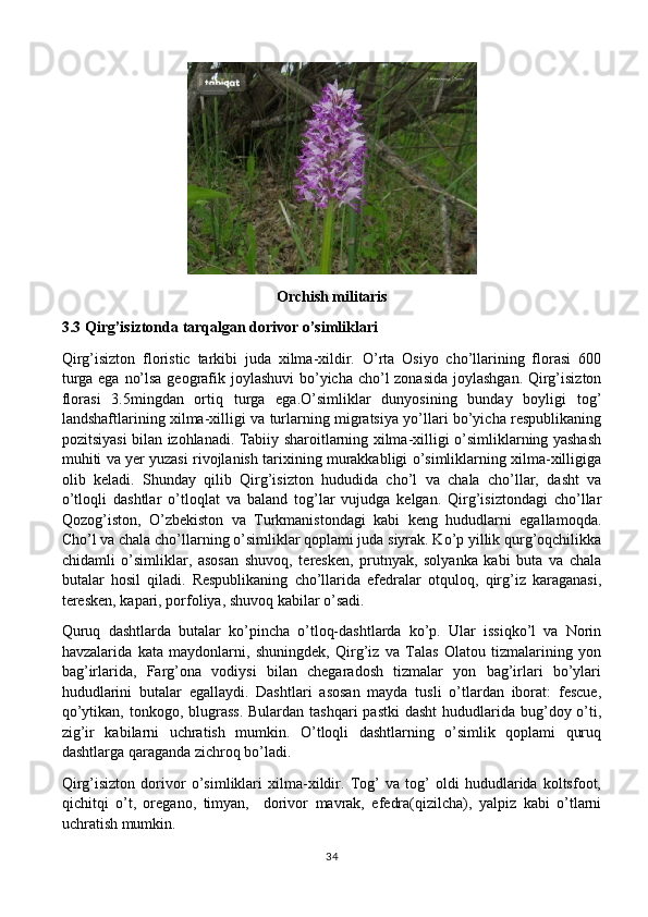 Orchish militaris
3.3 Qirg’isiztonda tarqalgan dorivor o’simliklari
Qirg’isizton   floristic   tarkibi   juda   xilma-xildir.   O’rta   Osiyo   cho’llarining   florasi   600
turga ega no’lsa geografik joylashuvi  bo’yicha cho’l  zonasida  joylashgan. Qirg’isizton
florasi   3.5mingdan   ortiq   turga   ega.O’simliklar   dunyosining   bunday   boyligi   tog’
landshaftlarining xilma-xilligi va turlarning migratsiya yo’llari bo’yicha respublikaning
pozitsiyasi bilan izohlanadi. Tabiiy sharoitlarning xilma-xilligi o’simliklarning yashash
muhiti va yer yuzasi rivojlanish tarixining murakkabligi o’simliklarning xilma-xilligiga
olib   keladi.   Shunday   qilib   Qirg’isizton   hududida   cho’l   va   chala   cho’llar,   dasht   va
o’tloqli   dashtlar   o’tloqlat   va   baland   tog’lar   vujudga   kelgan.   Qirg’isiztondagi   cho’llar
Qozog’iston,   O’zbekiston   va   Turkmanistondagi   kabi   keng   hududlarni   egallamoqda.
Cho’l va chala cho’llarning o’simliklar qoplami juda siyrak. Ko’p yillik qurg’oqchilikka
chidamli   o’simliklar,   asosan   shuvoq,   teresken,   prutnyak,   solyanka   kabi   buta   va   chala
butalar   hosil   qiladi.   Respublikaning   cho’llarida   efedralar   otquloq,   qirg’iz   karaganasi,
teresken, kapari, porfoliya, shuvoq kabilar o’sadi. 
Quruq   dashtlarda   butalar   ko’pincha   o’tloq-dashtlarda   ko’p.   Ular   issiqko’l   va   Norin
havzalarida   kata   maydonlarni,   shuningdek,   Qirg’iz   va   Talas   Olatou   tizmalarining   yon
bag’irlarida,   Farg’ona   vodiysi   bilan   chegaradosh   tizmalar   yon   bag’irlari   bo’ylari
hududlarini   butalar   egallaydi.   Dashtlari   asosan   mayda   tusli   o’tlardan   iborat:   fescue,
qo’ytikan, tonkogo, blugrass.  Bulardan tashqari  pastki  dasht  hududlarida bug’doy o’ti,
zig’ir   kabilarni   uchratish   mumkin.   O’tloqli   dashtlarning   o’simlik   qoplami   quruq
dashtlarga qaraganda zichroq bo’ladi. 
Qirg’isizton   dorivor   o’simliklari   xilma-xildir.   Tog’   va   tog’   oldi   hududlarida   koltsfoot,
qichitqi   o’t,   oregano,   timyan,     dorivor   mavrak,   efedra(qizilcha),   yalpiz   kabi   o’tlarni
uchratish mumkin. 
34 