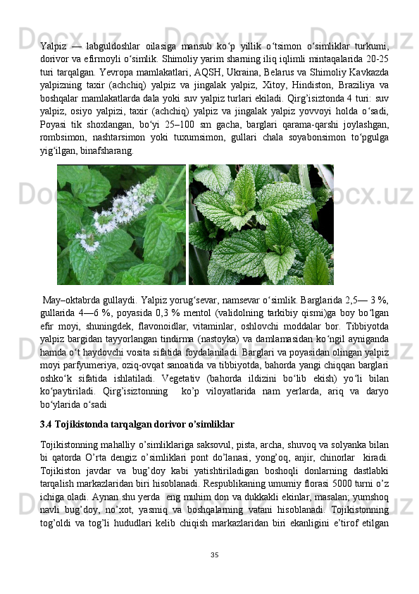 Yalpiz   —   labguldoshlar   oilasiga   mansub   ko p   yillik   o tsimon   o simliklar   turkumi,ʻ ʻ ʻ
dorivor va efirmoyli o simlik. Shimoliy yarim sharning iliq iqlimli mintaqalarida 20-25	
ʻ
turi tarqalgan. Yevropa mamlakatlari, AQSH, Ukraina, Belarus va Shimoliy Kavkazda
yalpizning   taxir   (achchiq)   yalpiz   va   jingalak   yalpiz,   Xitoy,   Hindiston,   Braziliya   va
boshqalar mamlakatlarda dala yoki suv yalpiz turlari ekiladi. Qirg’isiztonda 4 turi: suv
yalpiz,   osiyo   yalpizi,   taxir   (achchiq)   yalpiz   va   jingalak   yalpiz   yovvoyi   holda   o sadi,	
ʻ
Poyasi   tik   shoxlangan,   bo yi   25–100   sm   gacha,   barglari   qarama-qarshi   joylashgan,	
ʻ
rombsimon,   nashtarsimon   yoki   tuxumsimon,   gullari   chala   soyabonsimon   to pgulga	
ʻ
yig ilgan, binafsharang.	
ʻ
         
 May–oktabrda gullaydi. Yalpiz yorug sevar, namsevar o simlik. Barglarida 2,5— 3 %,	
ʻ ʻ
gullarida   4—6   %,   poyasida   0,3   %   mentol   (validolning   tarkibiy   qismi)ga   boy   bo lgan	
ʻ
efir   moyi,   shuningdek,   flavonoidlar,   vitaminlar,   oshlovchi   moddalar   bor.   Tibbiyotda
yalpiz   bargidan   tayyorlangan   tindirma   (nastoyka)   va   damlamasidan   ko ngil   ayniganda	
ʻ
hamda o t haydovchi vosita sifatida foydalaniladi. Barglari va poyasidan olingan yalpiz	
ʻ
moyi parfyumeriya, oziq-ovqat sanoatida va tibbiyotda, bahorda yangi chiqqan barglari
oshko k   sifatida   ishlatiladi.   Vegetativ   (bahorda   ildizini   bo lib   ekish)   yo li   bilan	
ʻ ʻ ʻ
ko paytiriladi.   Qirg’isiztonning     ko’p   viloyatlarida   nam   yerlarda,   ariq   va   daryo	
ʻ
bo ylarida o sadi
ʻ ʻ
3.4 Tojikistonda tarqalgan dorivor o’simliklar
Tojikistonning mahalliy o’simliklariga saksovul, pista, archa, shuvoq va solyanka bilan
bi   qatorda   O’rta   dengiz   o’simliklari   pont   do’lanasi,   yong’oq,   anjir,   chinorlar     kiradi.
Tojikiston   javdar   va   bug’doy   kabi   yatishtiriladigan   boshoqli   donlarning   dastlabki
tarqalish markazlaridan biri hisoblanadi. Respublikaning umumiy florasi 5000 turni o’z
ichiga oladi. Aynan shu yerda   eng muhim don va dukkakli ekinlar, masalan; yumshoq
navli   bug’doy,   no’xot,   yasmiq   va   boshqalarning   vatani   hisoblanadi.   Tojikistonning
tog’oldi   va   tog’li   hududlari   kelib   chiqish   markazlaridan   biri   ekanligini   e’tirof   etilgan
35