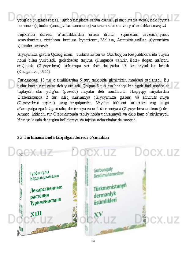 yong’oq (juglans regia), jujube(ziziphora sativa ciarin), pista(pistacia vera), nok (pyrus
communis), bodom(amugdalus communis) va uzum kabi madaniy o’simliklari mavjud. 
Tojikiston   dorivor   o’simliklaridan   urtica   dioica,   equisetum   arvensis,tymus
seravshanicus,   ziziphora,   bunium,   hypericum,   Melissa,   Artemisia,axillae,   glycyrrhiza
glabralar uchraydi. 
Glycyrrhiza glabra Qozog’iston,   Turkmaniston va Ozarboyjon Respublikalarida buyan
nomi   bilan   yuritiladi,   grekchadan   tarjima   qilinganda   «shirin   ildiz»   degan   ma’noni
anglatadi.   (Glycyrrhiza)   turkumiga   yer   shari   bo’yicha   13   dan   ziyod   tur   kiradi
(Kruganova, 1966). 
Turkumdagi   13   tur   o’simliklardan   5   turi   tarkibida   glitsirrizin   moddasi   saqlanadi.   Bu
turlar haqiqiy miyalar deb yuritiladi. Qolgan 8 turi esa boshqa biologyk faol moddalar
tuplaydi,   ular   yolg’on   (psevdo)   miyalar   deb   nomlanadi.   Haqiyqiy   miyalardan
O’zbekistonda   2   tur:   siliq   shirinmiya   (Glycyrrhiza   glabra)   va   achchits   miya
(Glycyrrhiza   aspera)   keng   tarqalgandir.   Miyalar   turkumi   turlaridan   eng   katga
a^amiyatga ega bulgani siliq shirinmiya va ural shirinmiyasi (Glycyrrhiza uralensis) dir.
Ammo, ikkinchi tur O’zbekistonda tabiiy holda uchramaydi va ekib ham o’stirilmaydi.
Hozirgi kunda faqatgina kollektsiya va tajriba uchastkalarida mavjud
3.5 Turkmanistonda tarqalgan dorivor o’simliklar
 
36 