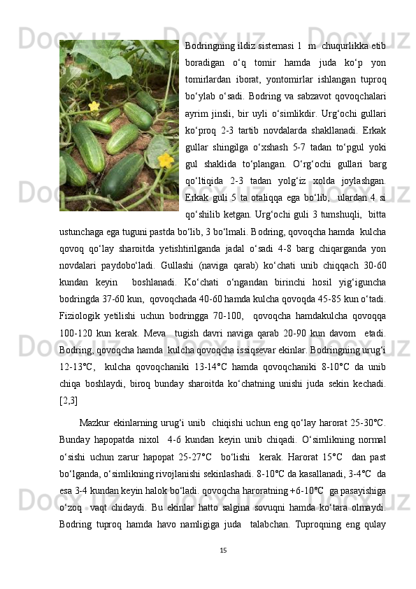 Bodringning ildiz sistemasi 1   m   chuqurlikka etib
boradigan   o‘q   tomir   hamda   juda   ko‘p   yon
tomirlardan   iborat,   yontomirlar   ishlangan   tuproq
bo‘ylab   o‘sadi.   Bodring   va   sabzavot   qovoqchalari
ayrim   jinsli,   bir   uyli   o‘simlikdir.   Urg‘ochi   gullari
ko‘proq   2-3   tartib   novdalarda   shakllanadi.   Erkak
gullar   shingilga   o‘xshash   5-7   tadan   to‘pgul   yoki
gul   shaklida   to‘plangan.   O‘rg‘ochi   gullari   barg
qo‘ltiqida   2-3   tadan   yolg‘iz   xolda   joylashgan.
Erkak   guli   5   ta   otaliqqa   ega   bo‘lib,     ulardan   4   si
qo‘shilib ketgan. Urg‘ochi guli 3 tumshuqli,   bitta
ustunchaga ega tuguni pastda bo‘lib, 3 bo‘lmali. Bodring, qovoqcha hamda  kulcha
qovoq   qo‘lay   sharoitda   yetishtirilganda   jadal   o‘sadi   4-8   barg   chiqarganda   yon
novdalari   paydobo‘ladi.   Gullashi   (naviga   qarab)   ko‘chati   unib   chiqqach   30-60
kundan   keyin     boshlanadi.   Ko‘chati   o‘ngandan   birinchi   hosil   yig‘iguncha
bodringda 37-60 kun,  qovoqchada 40-60 hamda kulcha qovoqda 45-85 kun o‘tadi.
Fiziologik   yetilishi   uchun   bodringga   70-100,     qovoqcha   hamdakulcha   qovoqqa
100-120   kun   kerak.   Meva     tugish   davri   naviga   qarab   20-90   kun   davom     etadi.
Bodring, qovoqcha hamda  kulcha qovoqcha issiqsevar ekinlar. Bodringning urug‘i
12-13°C,     kulcha   qovoqchaniki   13-14°C   hamda   qovoqchaniki   8-10°C   da   unib
chiqa   boshlaydi,   biroq   bunday   sharoitda   ko‘chatning   unishi   juda   sekin   kechadi.
[2,3]
Mazkur ekinlarning urug‘i unib   chiqishi  uchun eng qo‘lay harorat 25-30°C.
Bunday   hapopatda   nixol     4-6   kundan   keyin   unib   chiqadi.   O‘simlikning   normal
o‘sishi   uchun   zarur   hapopat   25-27°C     bo‘lishi     kerak.   Harorat   15°C     dan   past
bo‘lganda, o‘simlikning rivojlanishi sekinlashadi. 8-10°C da kasallanadi, 3-4°C  da
esa 3-4 kundan keyin halok bo‘ladi. qovoqcha haroratning +6-10°C  ga pasayishiga
o‘zoq     vaqt   chidaydi.   Bu   ekinlar   hatto   salgina   sovuqni   hamda   ko‘tara   olmaydi.
Bodring   tuproq   hamda   havo   namligiga   juda     talabchan.   Tuproqning   eng   qulay
15 