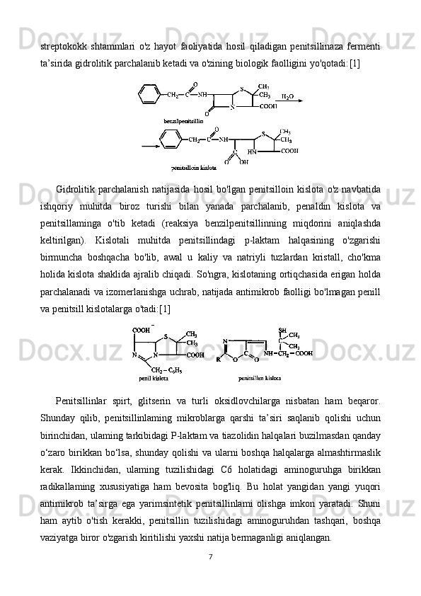 streptokokk   shtammlari   o'z   hayot   faoliyatida   hosil   qiladigan   penitsillinaza   fermenti
ta’sirida gidrolitik parchalanib ketadi va o'zining biologik faolligini yo'qotadi: [1]
Gidrolitik   parchalanish   natijasida   hosil   bo'lgan   penitsilloin   kislota   o'z   navbatida
ishqoriy   muhitda   biroz   turishi   bilan   yanada   parchalanib,   penaldin   kislota   va
penitsillaminga   o'tib   ketadi   (reaksiya   benzilpenitsillinning   miqdorini   aniqlashda
keltirilgan).   Kislotali   muhitda   penitsillindagi   p-laktam   halqasining   o'zgarishi
birmuncha   boshqacha   bo'lib,   awal   u   kaliy   va   natriyli   tuzlardan   kristall,   cho'kma
holida kislota shaklida ajralib chiqadi. So'ngra, kislotaning ortiqchasida erigan holda
parchalanadi va izomerlanishga uchrab, natijada antimikrob faolligi bo'lmagan penill
va penitsill kislotalarga o'tadi: [1]
Penitsillinlar   spirt,   glitserin   va   turli   oksidlovchilarga   nisbatan   ham   beqaror.
Shunday   qilib,   penitsillinlaming   mikroblarga   qarshi   ta’siri   saqlanib   qolishi   uchun
birinchidan, ulaming tarkibidagi P-laktam va tiazolidin halqalari buzilmasdan qanday
o‘zaro birikkan bo‘lsa,  shunday qolishi va ularni boshqa halqalarga almashtirmaslik
kerak.   Ikkinchidan,   ulaming   tuzilishidagi   C6   holatidagi   aminoguruhga   birikkan
radikallaming   xususiyatiga   ham   bevosita   bog'liq.   Bu   holat   yangidan   yangi   yuqori
antimikrob   ta’sirga   ega   yarimsintetik   penitsillinlami   olishga   imkon   yaratadi.   Shuni
ham   aytib   o'tish   kerakki,   penitsillin   tuzilishidagi   aminoguruhdan   tashqari,   boshqa
vaziyatga biror o'zgarish kiritilishi yaxshi natija bermaganligi aniqlangan.
7 