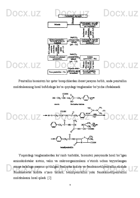 Penitsillin biosintezi bir qator bosqichlardan iborat jarayon bo'lib, unda penitsillin
molekulasining hosil boMishiga ko‘ra quyidagi tenglamalar bo‘yicha ifodalanadi:
Yuqoridagi tenglamalardan ko‘rinib turibdiki, biosintez jarayonida hosil  bo’lgan
aminokislotalar   sistein,   valin   va   mikroorganizmlami   o‘stirish   uchun   tayyorlangan
ozuqa tarkibiga maxsus qo'shilgan fenilsirka kislota va fenoksimetilpenitsillin olishda
fenoksiatsetat   kislota   o‘zaro   birikib,   benzilpenitsillin   yoki   fenoksimetilpenitsillin
molekulasini hosil qiladi.  [2]
9 