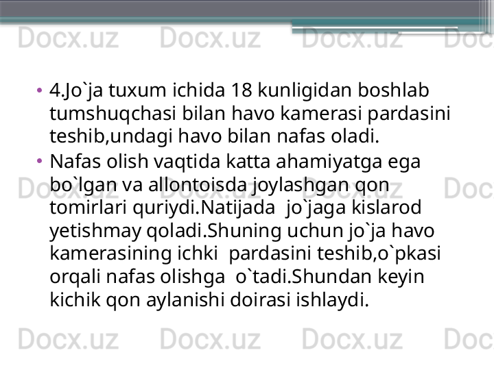 •
4.Jo`ja tuxum ichida 18 kunligidan boshlab 
tumshuqchasi bilan havo kamerasi pardasini 
teshib,undagi havo bilan nafas oladi.
•
Nafas olish vaqtida katta ahamiyatga ega 
bo`lgan va allontoisda joylashgan qon 
tomirlari quriydi.Natijada  jo`jaga kislarod 
yetishmay qoladi.Shuning uchun jo`ja havo 
kamerasining ichki  pardasini teshib,o`pkasi 
orqali nafas olishga  o`tadi.Shundan keyin 
kichik qon aylanishi doirasi ishlaydi.                     