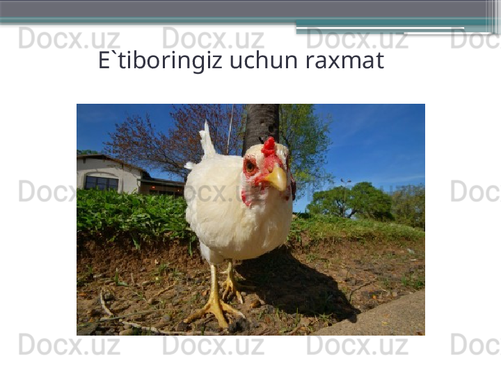 E`tiboringiz uchun raxmat