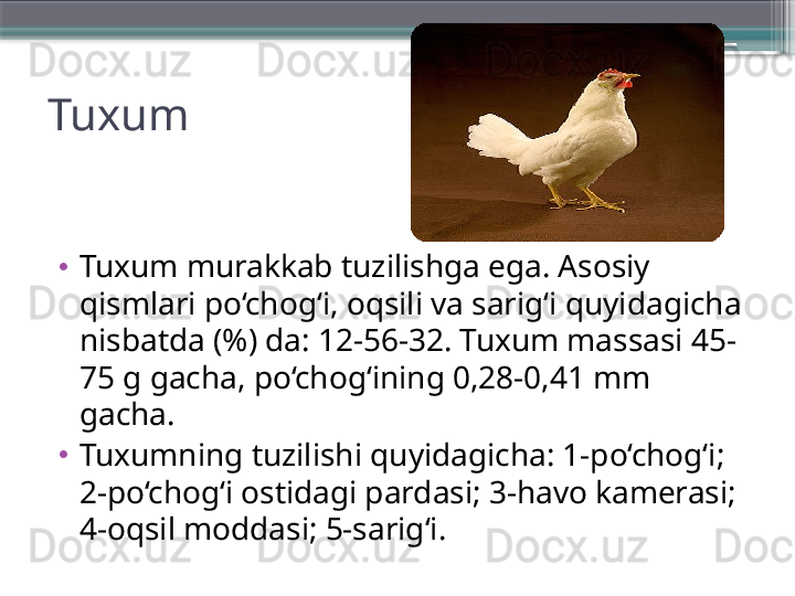 •
Tuxum murakkab tuzilishga ega. Asosiy 
qismlari po‘chog‘i, oqsili va sarig‘i quyidagicha 
nisbatda (%) da: 12-56-32. Tuxum massasi 45-
75 g gacha, po‘chog‘ining 0,28-0,41 mm 
gacha. 
•
Tuxumning tuzilishi quyidagicha: 1-po‘chog‘i; 
2-po‘chog‘i ostidagi pardasi; 3-havo kamerasi; 
4-oqsil moddasi; 5-sarig‘i.Tuxum