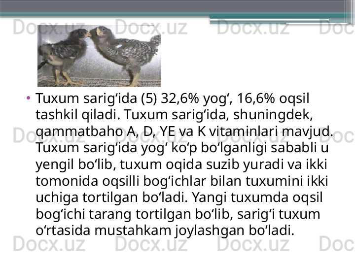 •
Tuxum sarig‘ida (5) 32,6% yog‘, 16,6% oqsil 
tashkil qiladi. Tuxum sarig‘ida, shuningdek, 
qammatbaho A, D, YE va K vitaminlari mavjud. 
Tuxum sarig‘ida yog‘ ko‘p bo‘lganligi sababli u 
yengil bo‘lib, tuxum oqida suzib yuradi va ikki 
tomonida oqsilli bog‘ichlar bilan tuxumini ikki 
uchiga tortilgan bo‘ladi. Yangi tuxumda oqsil 
bog‘ichi tarang tortilgan bo‘lib, sarig‘i tuxum 
o‘rtasida mustahkam joylashgan bo‘ladi.                      