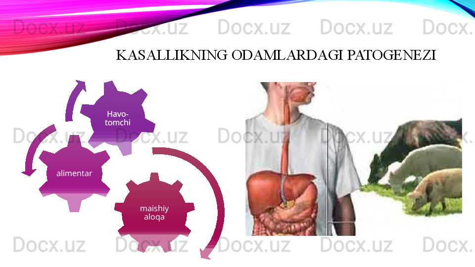 KASALLIKNING ODAMLARDAGI PATOGENEZI
maishiy 
aloqaalimentar