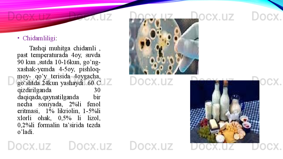 •
Chidamliligi :
        Tashqi  muhitga  chidamli  , 
past  temperaturada  4oy,  suvda 
90  kun ,sutda 10-16kun, go’ng-
xashak-yemda  4-5oy,  pishloq-
moy-  qo’y  terisida  4oygacha, 
go‘shtda  24kun  yashaydi.  60  C 
qizdirilganda  30 
daqiqada,qaynatilganda  bir 
necha  soniyada,  2%li  fenol 
eritmasi,    1%  likriolin,  1-5%li 
xlorli  ohak,  0,5%  li  lizol, 
0,2%li  formalin  ta’sirida  tezda 
o’ladi. 