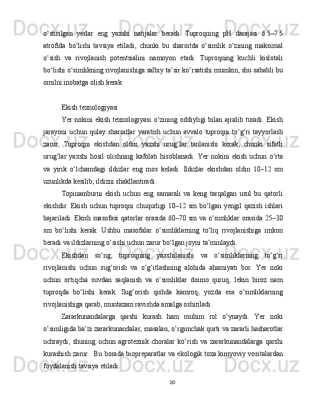 o‘stirilgan   yerlar   eng   yaxshi   natijalar   beradi.   Tuproqning   pH   darajasi   6.5–7.5
atrofida   bo‘lishi   tavsiya   etiladi,   chunki   bu   sharoitda   o‘simlik   o‘zining   maksimal
o‘sish   va   rivojlanish   potentsialini   namoyon   etadi.   Tuproqning   kuchli   kislotali
bo‘lishi o‘simlikning rivojlanishiga salbiy ta’sir ko‘rsatishi mumkin, shu sababli bu
omilni inobatga olish kerak.
Ekish texnologiyasi
Yer nokini ekish  texnologiyasi  o‘zining oddiyligi  bilan ajralib turadi. Ekish
jarayoni   uchun   qulay   sharoitlar   yaratish   uchun   avvalo   tuproqni   to‘g‘ri   tayyorlash
zarur.   Tuproqni   ekishdan   oldin   yaxshi   urug‘lar   tanlanishi   kerak,   chunki   sifatli
urug‘lar   yaxshi   hosil   olishning   kafolati   hisoblanadi.   Yer   nokini   ekish   uchun   o‘rta
va   yirik   o‘lchamdagi   ildizlar   eng   mos   keladi.   Ildizlar   ekishdan   oldin   10–12   sm
uzunlikda kesilib, ildizni shakllantiradi.
Topinamburni   ekish   uchun   eng   samarali   va   keng   tarqalgan   usul   bu   qatorli
ekishdir.  Ekish   uchun  tuproqni   chuqurligi   10–12   sm   bo‘lgan   yengil   qazish   ishlari
bajariladi. Ekish masofasi  qatorlar orasida 60–70 sm va o‘simliklar orasida 25–30
sm   bo‘lishi   kerak.   Ushbu   masofalar   o‘simliklarning   to‘liq   rivojlanishiga   imkon
beradi va ildizlarning o‘sishi uchun zarur bo‘lgan joyni ta’minlaydi.
Ekishdan   so‘ng,   tuproqning   yaxshilanishi   va   o‘simliklarning   to‘g‘ri
rivojlanishi   uchun   sug‘orish   va   o‘g‘itlashning   alohida   ahamiyati   bor.   Yer   noki
uchun   ortiqcha   suvdan   saqlanish   va   o‘simliklar   doimo   quruq,   lekin   biroz   nam
tuproqda   bo‘lishi   kerak.   Sug‘orish   qishda   kamroq,   yozda   esa   o‘simliklarning
rivojlanishiga qarab, muntazam ravishda amalga oshiriladi.
Zararkunandalarga   qarshi   kurash   ham   muhim   rol   o‘ynaydi.   Yer   noki
o‘simligida ba’zi zararkunandalar, masalan, o‘rgimchak qurti va zararli hasharotlar
uchraydi,   shuning   uchun   agrotexnik   choralar   ko‘rish   va   zararkunandalarga   qarshi
kurashish zarur.   Bu borada biopreparatlar va ekologik toza kimyoviy vositalardan
foydalanish tavsiya etiladi.
20 