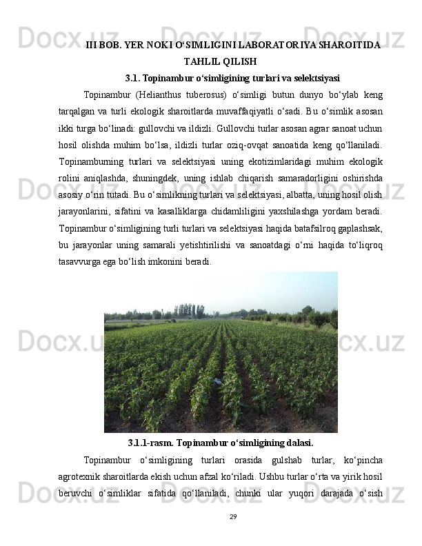 III BOB. YER NOKI O‘SIMLIGINI LABORATORIYA SHAROITIDA
TAHLIL QILISH
3.1. Topinambur o‘simligining turlari va selektsiyasi
Topinambur   (Helianthus   tuberosus)   o‘simligi   butun   dunyo   bo‘ylab   keng
tarqalgan   va   turli   ekologik   sharoitlarda   muvaffaqiyatli   o‘sadi.   Bu   o‘simlik   asosan
ikki turga bo‘linadi: gullovchi va ildizli. Gullovchi turlar asosan agrar sanoat uchun
hosil   olishda   muhim   bo‘lsa,   ildizli   turlar   oziq-ovqat   sanoatida   keng   qo‘llaniladi.
Topinamburning   turlari   va   selektsiyasi   uning   ekotizimlaridagi   muhim   ekologik
rolini   aniqlashda,   shuningdek,   uning   ishlab   chiqarish   samaradorligini   oshirishda
asosiy o‘rin tutadi. Bu o‘simlikning turlari va selektsiyasi, albatta, uning hosil olish
jarayonlarini,   sifatini   va   kasalliklarga   chidamliligini   yaxshilashga   yordam   beradi.
Topinambur o‘simligining turli turlari va selektsiyasi haqida batafsilroq gaplashsak,
bu   jarayonlar   uning   samarali   yetishtirilishi   va   sanoatdagi   o‘rni   haqida   to‘liqroq
tasavvurga ega bo‘lish imkonini beradi.
3.1.1-rasm.  Topinambur o‘simligining dalasi.
Topinambur   o‘simligining   turlari   orasida   gulshab   turlar,   ko‘pincha
agrotexnik sharoitlarda ekish uchun afzal ko‘riladi. Ushbu turlar o‘rta va yirik hosil
beruvchi   o‘simliklar   sifatida   qo‘llaniladi,   chunki   ular   yuqori   darajada   o‘sish
29 