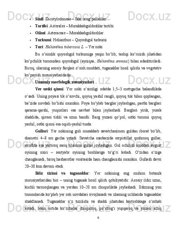  Sinfi : Dicotyledoneae – Ikki urug‘pallalilar
 Tartibi : Asterales – Murakkabguldoshlar tartibi
 Oilasi : Asteraceae – Murakkabguldoshlar
 Turkumi : Helianthus – Quyoshgul turkumi
 Turi :  Helianthus tuberosus L.  – Yer noki
Bu   o‘simlik   quyoshgul   turkumiga   yaqin   bo‘lib,   tashqi   ko‘rinish   jihatidan
ko‘pchilik   tomonidan   quyoshgul   (ayniqsa,   Helianthus   annuus )   bilan   adashtiriladi.
Biroq, ularning asosiy farqlari o‘sish muddati, tuganaklar hosil qilishi va vegetativ
ko‘payish xususiyatlaridadir.
Umumiy morfologik xususiyatlari
Yer   ustki   qismi :   Yer   noki   o‘simligi   odatda   1,5–3   metrgacha   balandlikda
o‘sadi. Uning poyasi tik o‘suvchi, quyuq yashil rangli, quyuq tuk bilan qoplangan,
ba’zida novdali bo‘lishi  mumkin. Poya bo‘ylab barglar joylashgan, pastki  barglari
qarama-qarshi,   yuqorilari   esa   navbat   bilan   joylashadi.   Barglari   yirik,   yurak
shaklida,   qirrasi   tishli   va   uzun   bandli.   Barg   yuzasi   qo‘pol,   ustki   tomoni   quyuq
yashil, ostki qismi esa oqish-yashil tusda.
Gullari :   Yer   nokining   guli   murakkab   savatchasimon   guldan   iborat   bo‘lib,
diametri   4–8   sm   gacha   yetadi.   Savatcha   markazida   serpistillat   qushmoq   gullar,
atrofida esa yaltiroq sariq tilsimon gullar joylashgan. Gul ochilish muddati avgust
oyining   oxiri   –   sentyabr   oyining   boshlariga   to‘g‘ri   keladi.   O‘zidan   o‘ziga
changlanadi, biroq hasharotlar vositasida ham changlanishi mumkin. Gullash davri
20–30 kun davom etadi.
Ildiz   tizimi   va   tuganaklar :   Yer   nokining   eng   muhim   botanik
xususiyatlaridan   biri   –  uning  tuganak  hosil  qilish   qobiliyatidir.  Asosiy   ildiz  uzun,
kuchli   tarmoqlangan   va   yerdan   10–20   sm   chuqurlikda   joylashadi.   Ildizning   yon
tomonlarida ko‘plab yer osti novdalari rivojlanadi va ularning uchlarida tuganaklar
shakllanadi.   Tuganaklar   o‘z   tuzilishi   va   shakli   jihatidan   kartoshkaga   o‘xshab
ketadi,   lekin   sirtida   ko‘zchalar   chuqurroq,   po‘stlog‘i   yupqaroq   va   yuzasi   silliq
8 