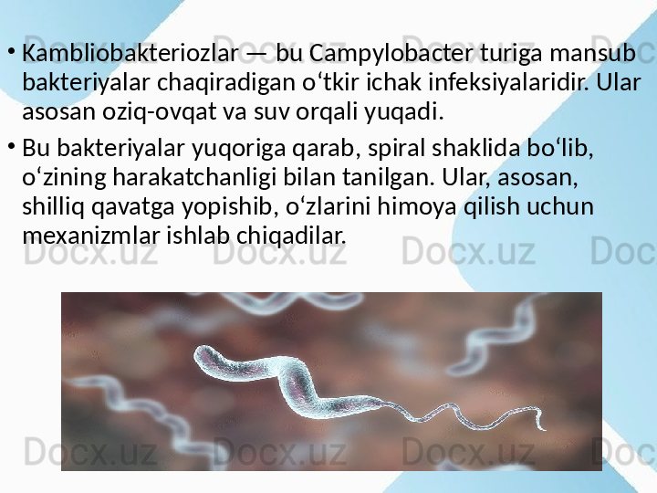 •
Kambliobakteriozlar — bu Campylobacter turiga mansub 
bakteriyalar chaqiradigan o‘tkir ichak infeksiyalaridir. Ular 
asosan oziq-ovqat va suv orqali yuqadi.
•
Bu bakteriyalar yuqoriga qarab, spiral shaklida bo‘lib, 
o‘zining harakatchanligi bilan tanilgan. Ular, asosan, 
shilliq qavatga yopishib, o‘zlarini himoya qilish uchun 
mexanizmlar ishlab chiqadilar. 