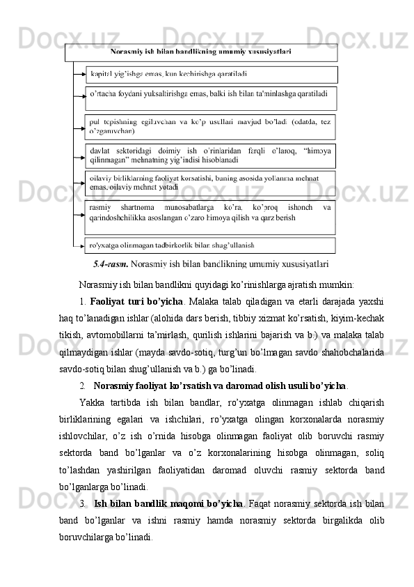 Norasmiy ish bilan bandlikni quyidagi ko’rinishlarga ajratish mumkin: 
1.   Faoliyat   turi   bo’yicha .   Malaka   talab   qiladigan   va   etarli   darajada   yaxshi
haq to’lanadigan ishlar (alohida dars berish, tibbiy xizmat ko’rsatish, kiyim-kechak
tikish, avtomobillarni  ta’mirlash,  qurilish ishlarini bajarish va b.) va malaka talab
qilmaydigan ishlar (mayda savdo-sotiq, turg’un bo’lmagan savdo shahobchalarida
savdo-sotiq bilan shug’ullanish va b.) ga bo’linadi.
2. Norasmiy  faoliyat ko’rsatish va daromad olish usuli bo’yicha .
Yakka   tartibda   ish   bilan   bandlar,   ro’yxatga   olinmagan   ishlab   chiqarish
birliklarining   egalari   va   ishchilari,   ro’yxatga   olingan   korxonalarda   norasmiy
ishlovchilar,   o’z   ish   o’rnida   hisobga   olinmagan   faoliyat   olib   boruvchi   rasmiy
sektorda   band   bo’lganlar   va   o’z   korxonalarining   hisobga   olinmagan,   soliq
to’lashdan   yashirilgan   faoliyatidan   daromad   oluvchi   rasmiy   sektorda   band
bo’lganlarga bo’linadi.
3. Ish   bilan   bandlik   maqomi   bo’yicha .   Faqat   norasmiy   sektorda   ish   bilan
band   bo’lganlar   va   ishni   rasmiy   hamda   norasmiy   sektorda   birgalikda   olib
boruvchilarga bo’linadi. 