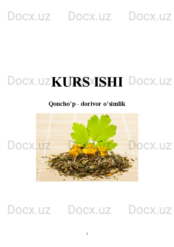KURS ISHI
Qoncho’p - dorivor o’simlik
1