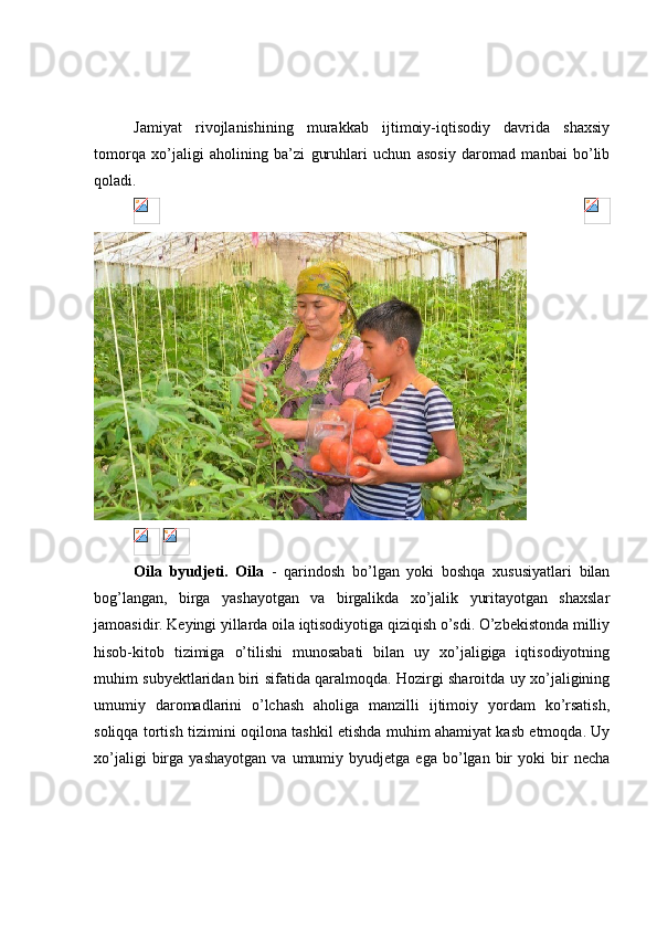 Jamiyat   rivojlanishining   murakkab   ijtimoiy-iqtisodiy   davrida   shaxsiy
tomorqa   xo’jaligi   aholining   ba’zi   guruhlari   uchun   asosiy   daromad   manbai   bo’lib
qoladi.
 
 
Oila   byudjeti.   Oila   -   qarindosh   bo’lgan   yoki   boshqa   xususiyatlari   bilan
bog’langan,   birga   yashayotgan   va   birgalikda   xo’jalik   yuritayotgan   shaxslar
jamoasidir. Keyingi yillarda oila iqtisodiyotiga qiziqish o’sdi. O’zbekistonda milliy
hisob-kitob   tizimiga   o’tilishi   munosabati   bilan   uy   xo’jaligiga   iqtisodiyotning
muhim subyektlaridan biri sifatida qaralmoqda. Hozirgi sharoitda uy xo’jaligining
umumiy   daromadlarini   o’lchash   aholiga   manzilli   ijtimoiy   yordam   ko’rsatish,
soliqqa tortish tizimini oqilona tashkil etishda muhim ahamiyat kasb etmoqda. Uy
xo’jaligi   birga   yashayotgan   va   umumiy  byudjetga   ega   bo’lgan   bir   yoki   bir   necha 