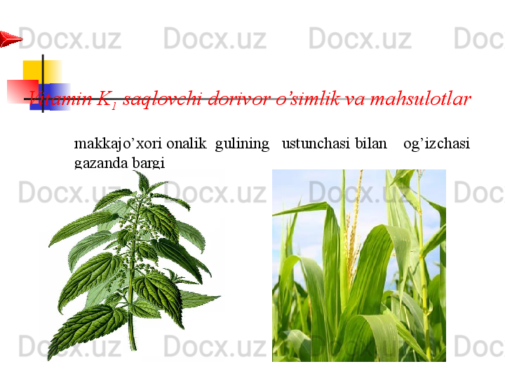 Vitamin K
1  saqlovchi dorivor o’simlik va mahsulotlar 
makkajo’xori onalik  gulining   ustunchasi bilan  og’izchasi 
g azanda bargi 
                                            