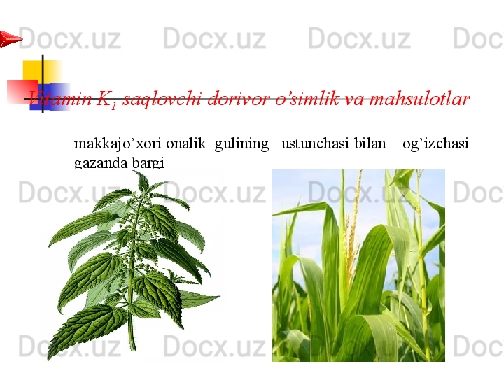 Vitamin K
1  saqlovchi dorivor o’simlik va mahsulotlar 
makkajo’xori onalik  gulining   ustunchasi bilan  og’izchasi 
g azanda bargi